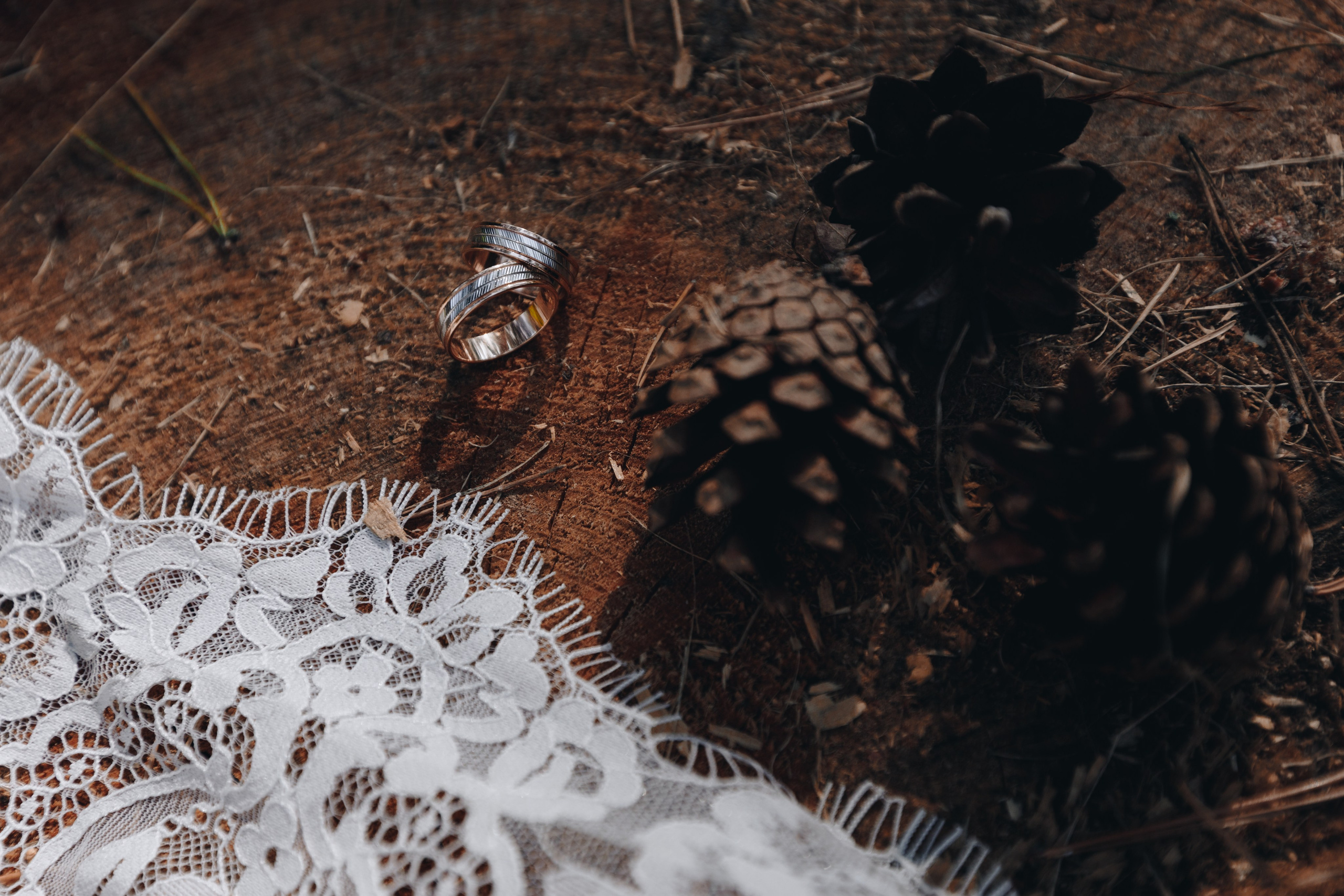 А+М. Свадебный семейный фотограф и видеограф Гомель Минск Беларусь Европа