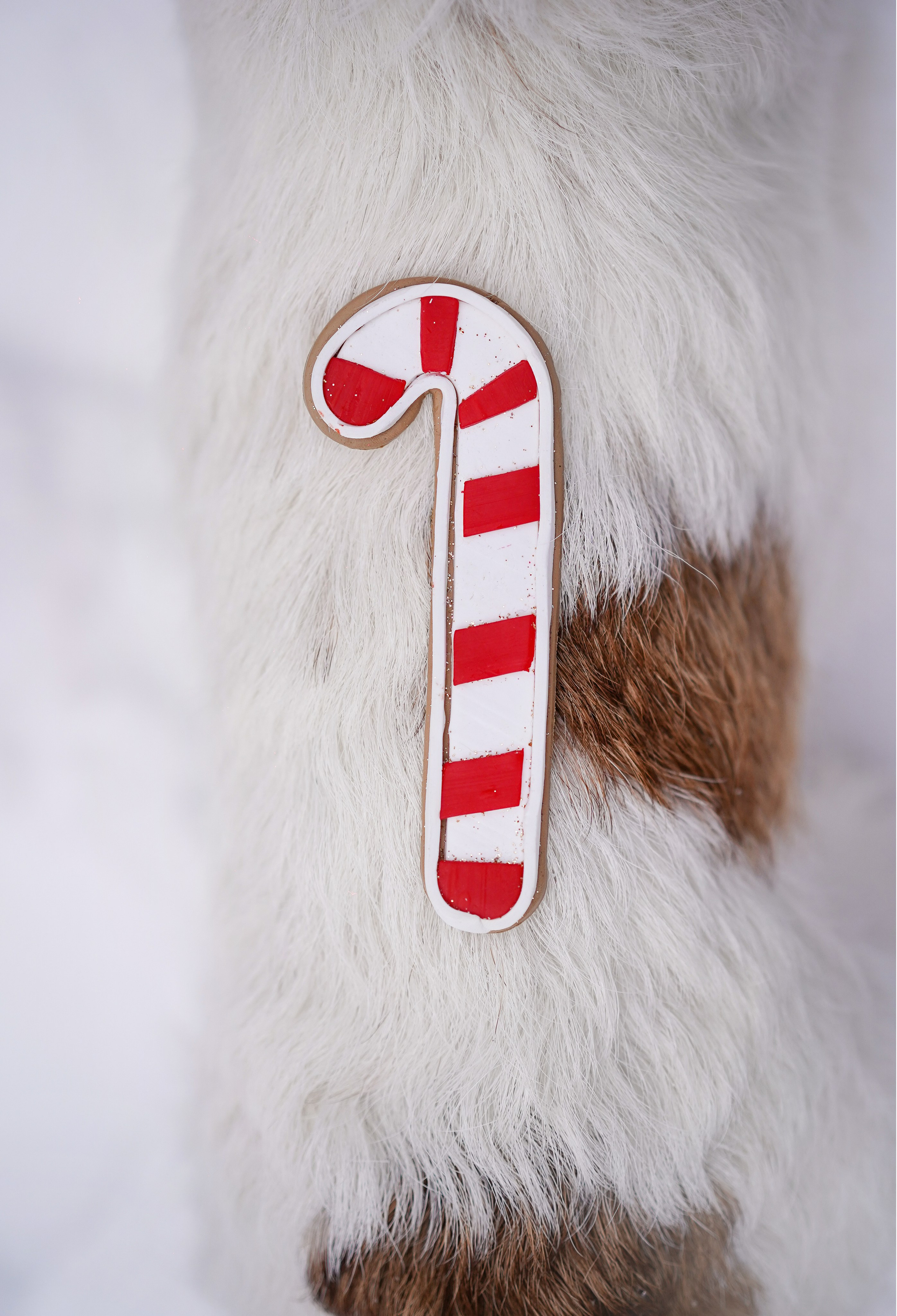 Люба и Тося. Фотограф-анималист в Санкт-Петербурге Яна Мартынова