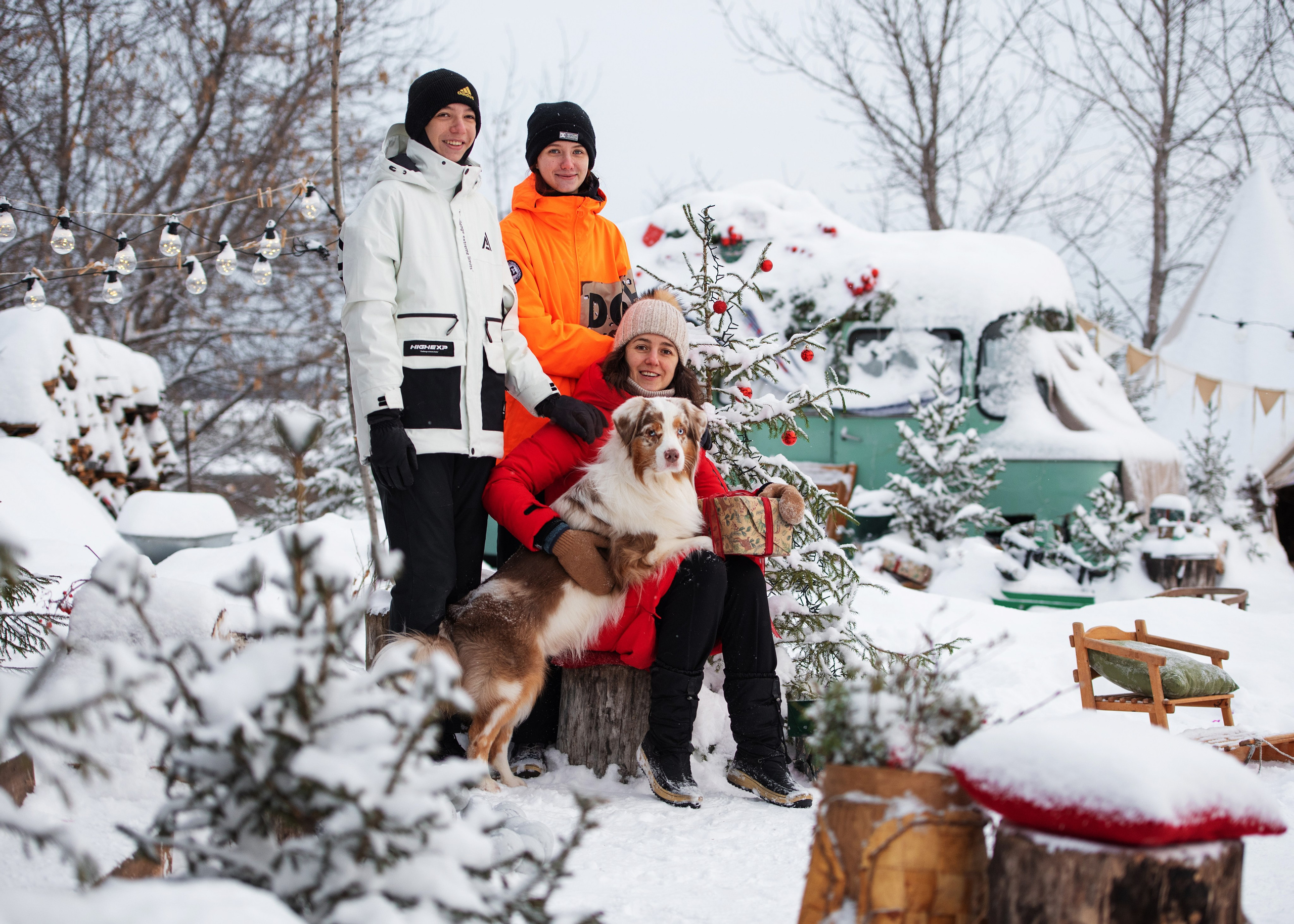 Аусси и его семья. Дог-фотограф в Тюмени Александра Королева