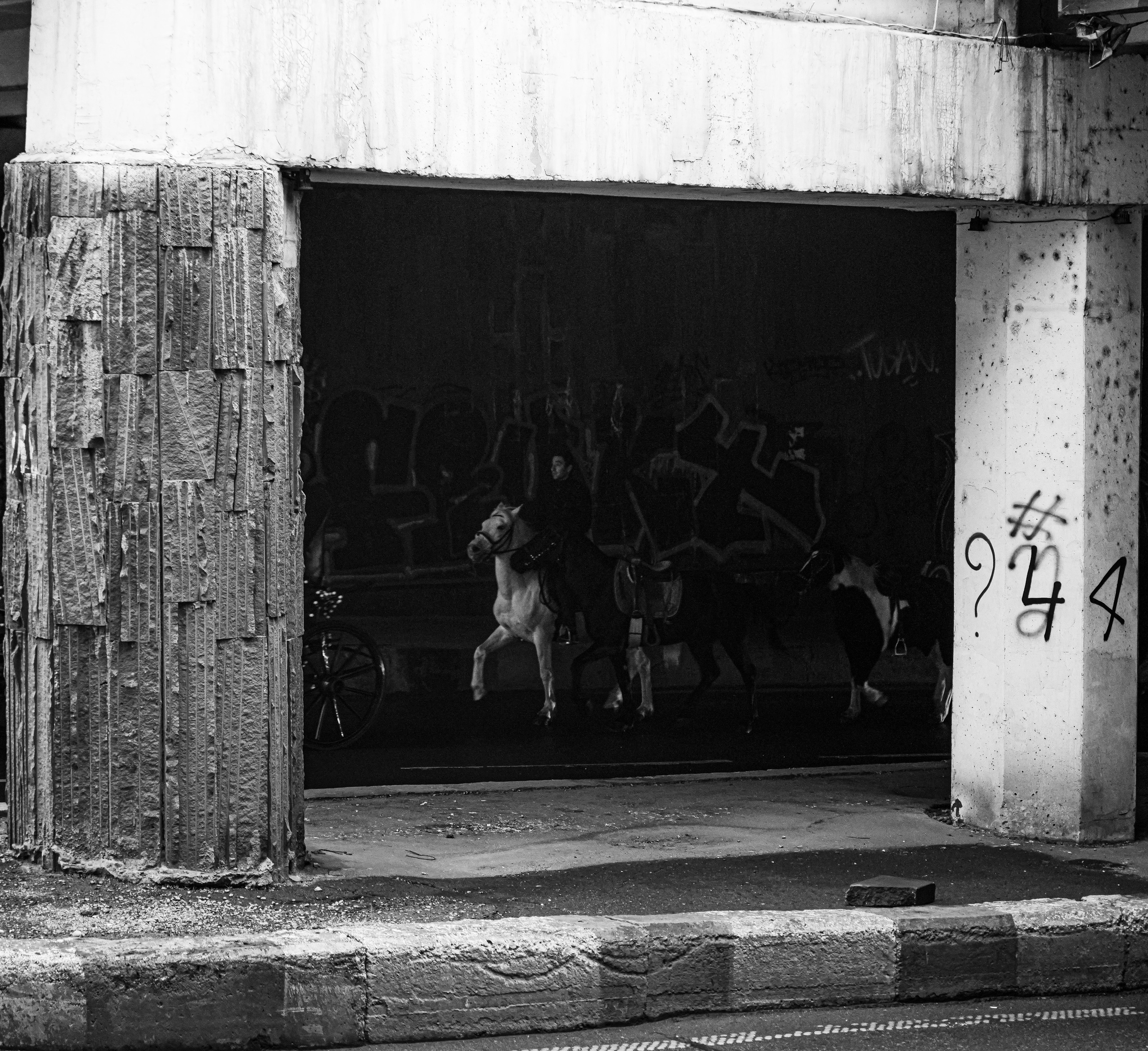 ТБИЛИСИ 2023-2024. Стрит-фотография, полная абсурда, идиотизма и красоты