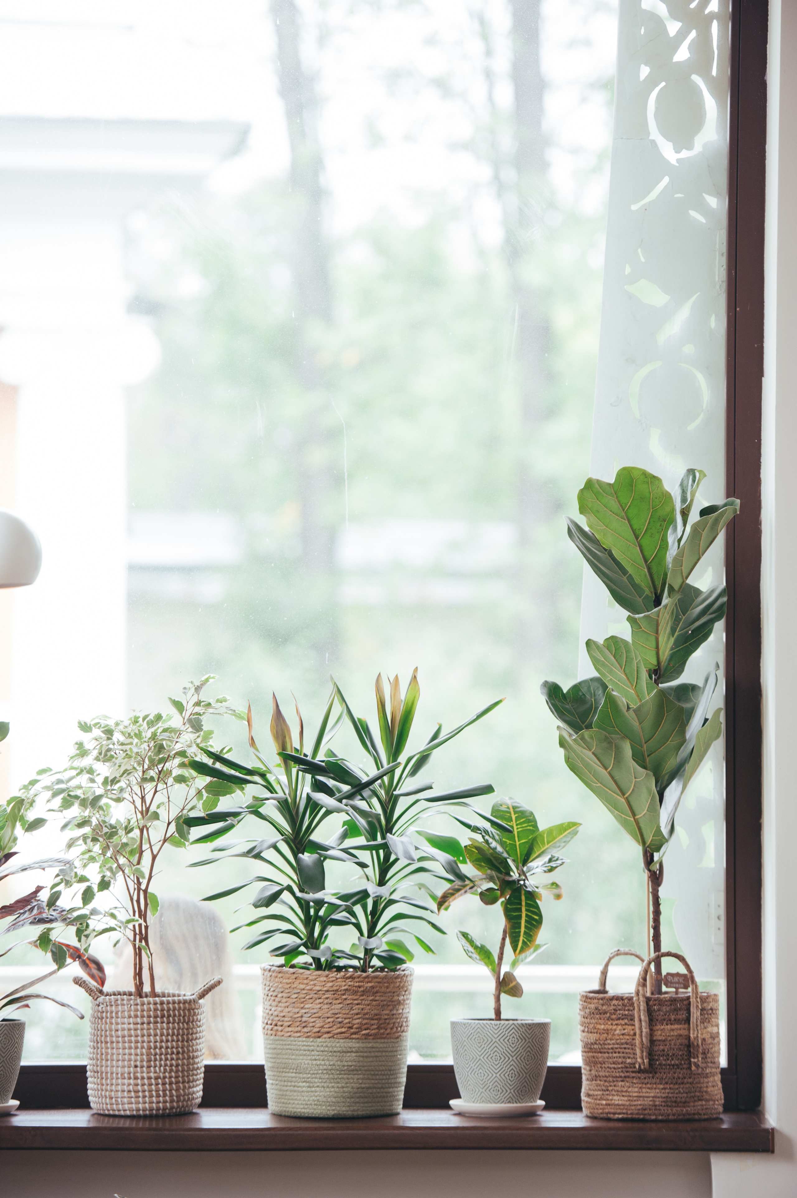 Елена и Герман. Свадьба в Москве. Семейный фотограф Анна Дубовская