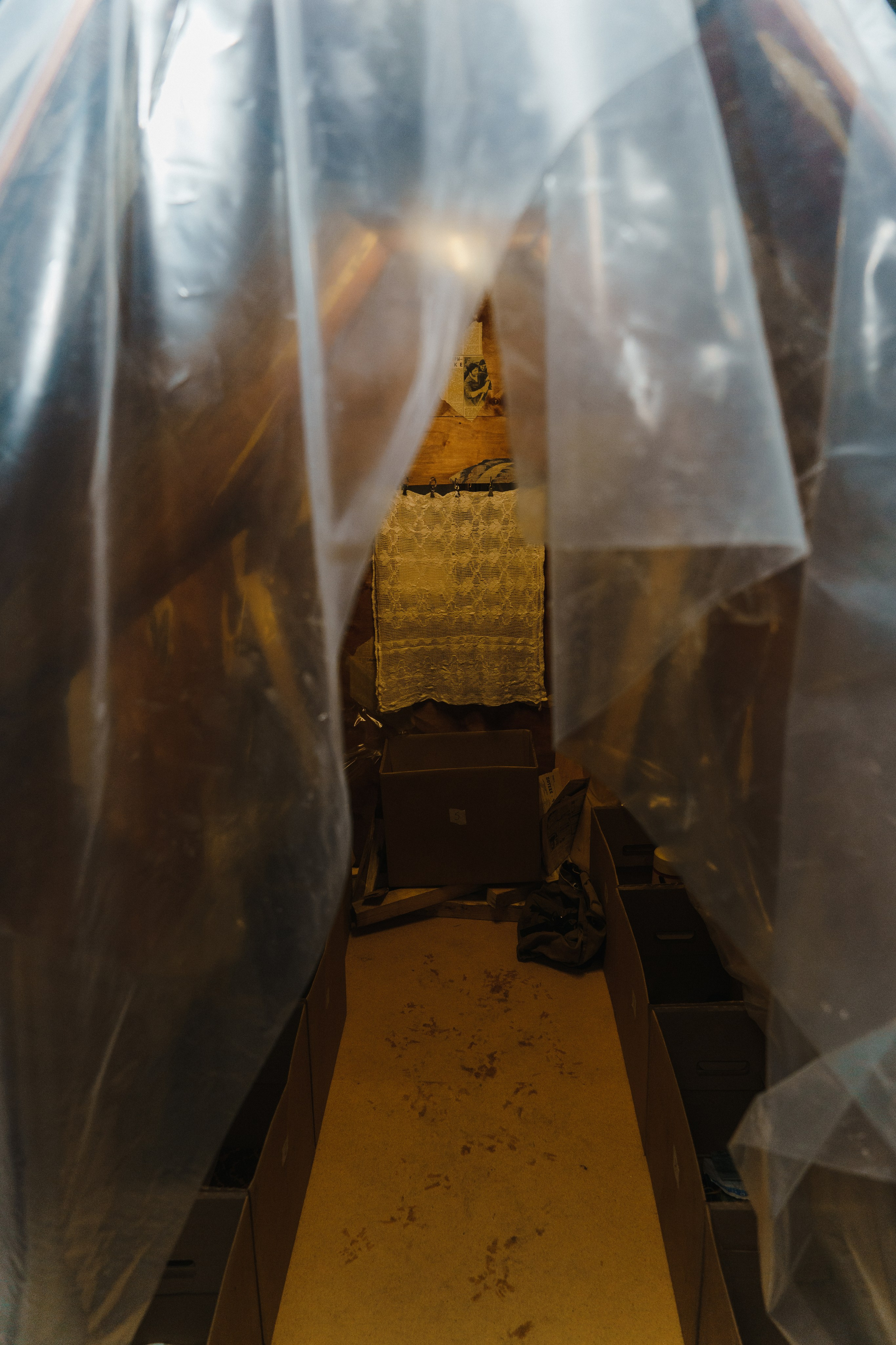 Про дом и дедушку. Козлова Екатерина. Междисциплинарная визуальная художница