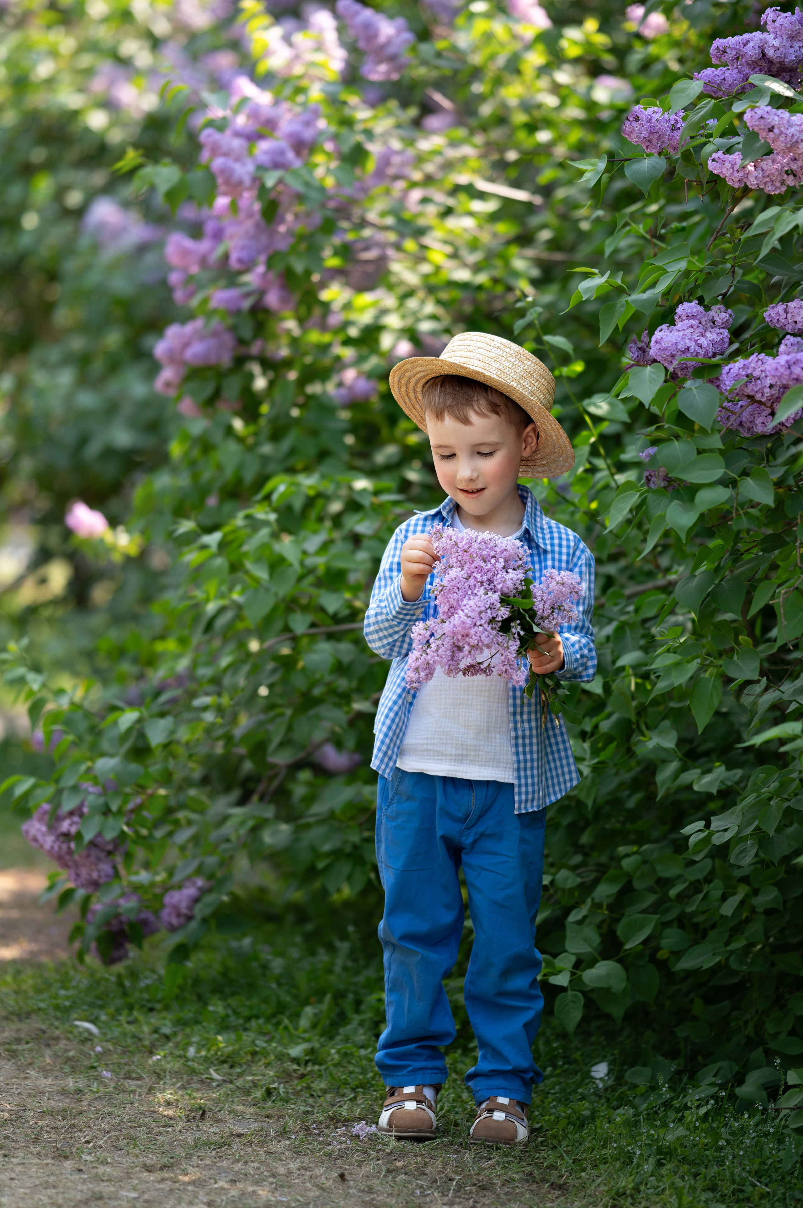 Сирень. Детский и семейный фотограф г. Москва Оксана Катаджи
