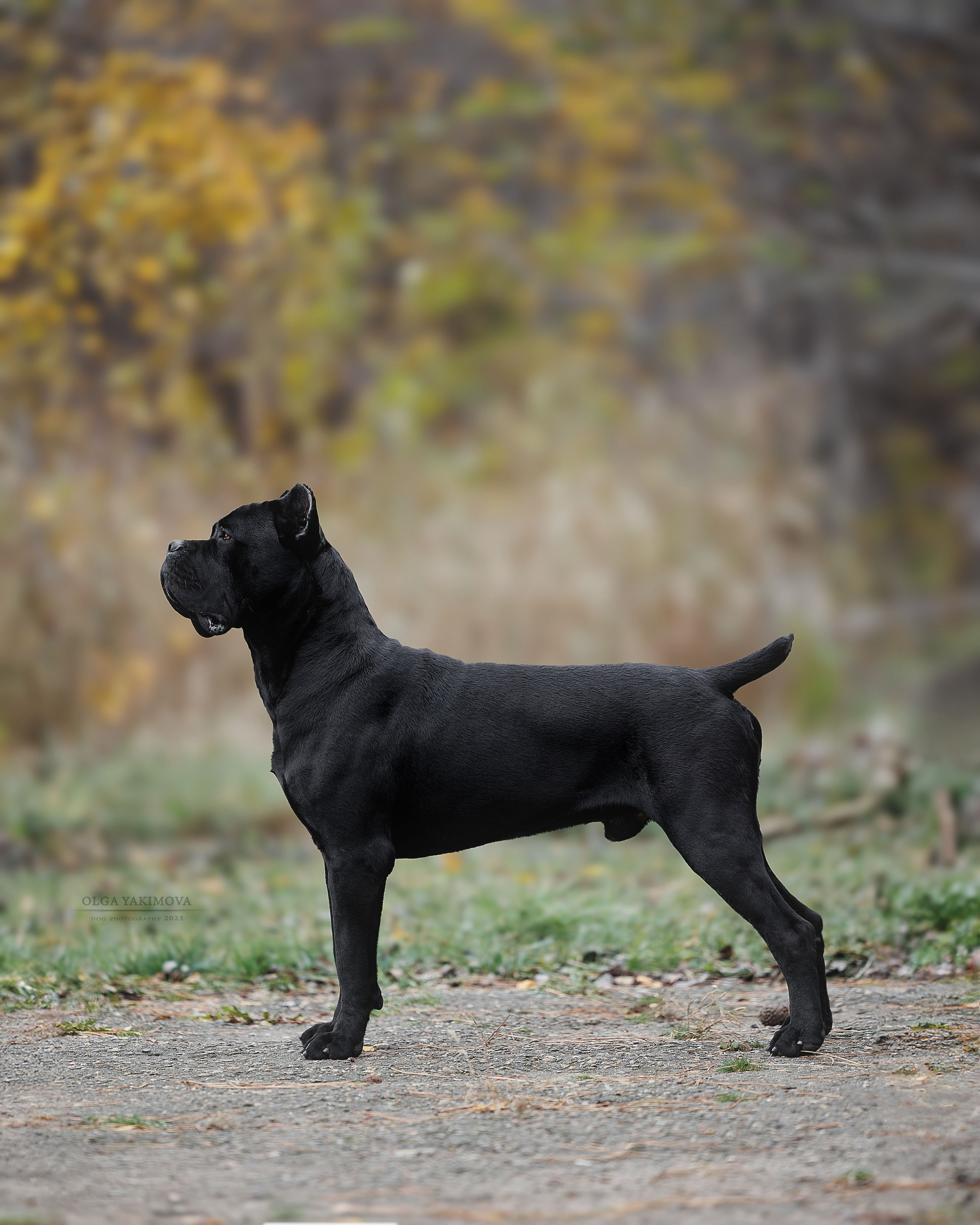 Экстерьер. Фотограф