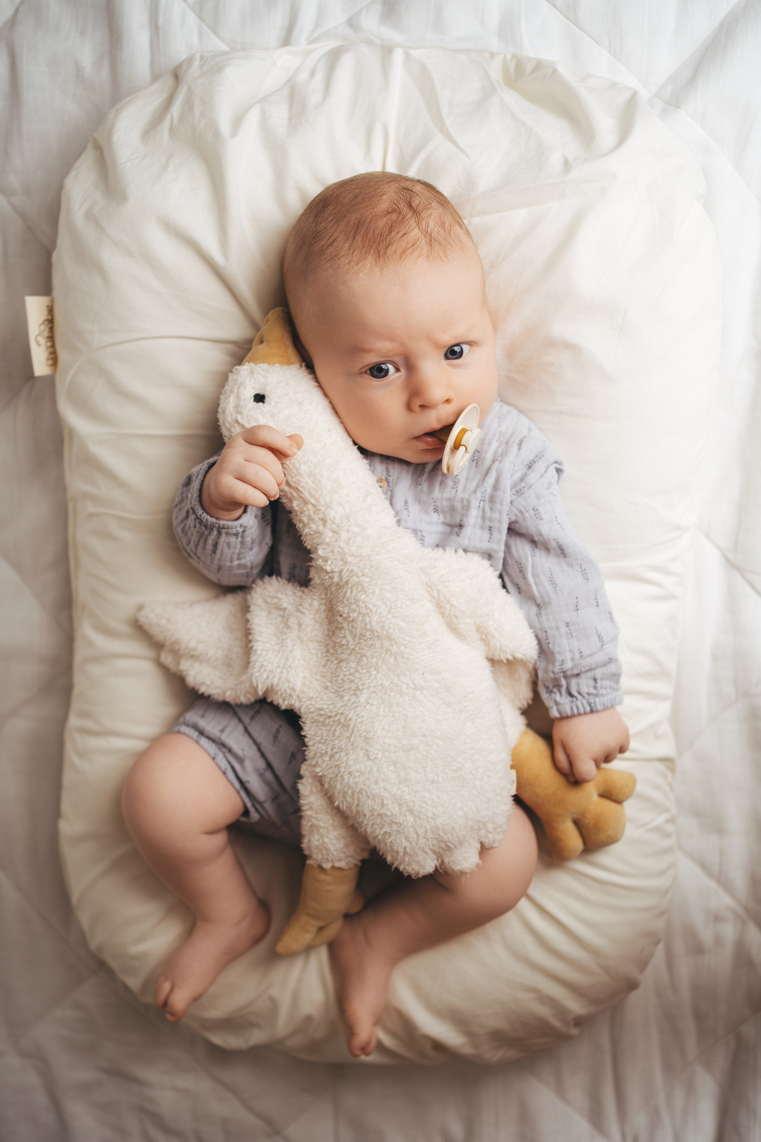 Федя, 2 месяца. Главная