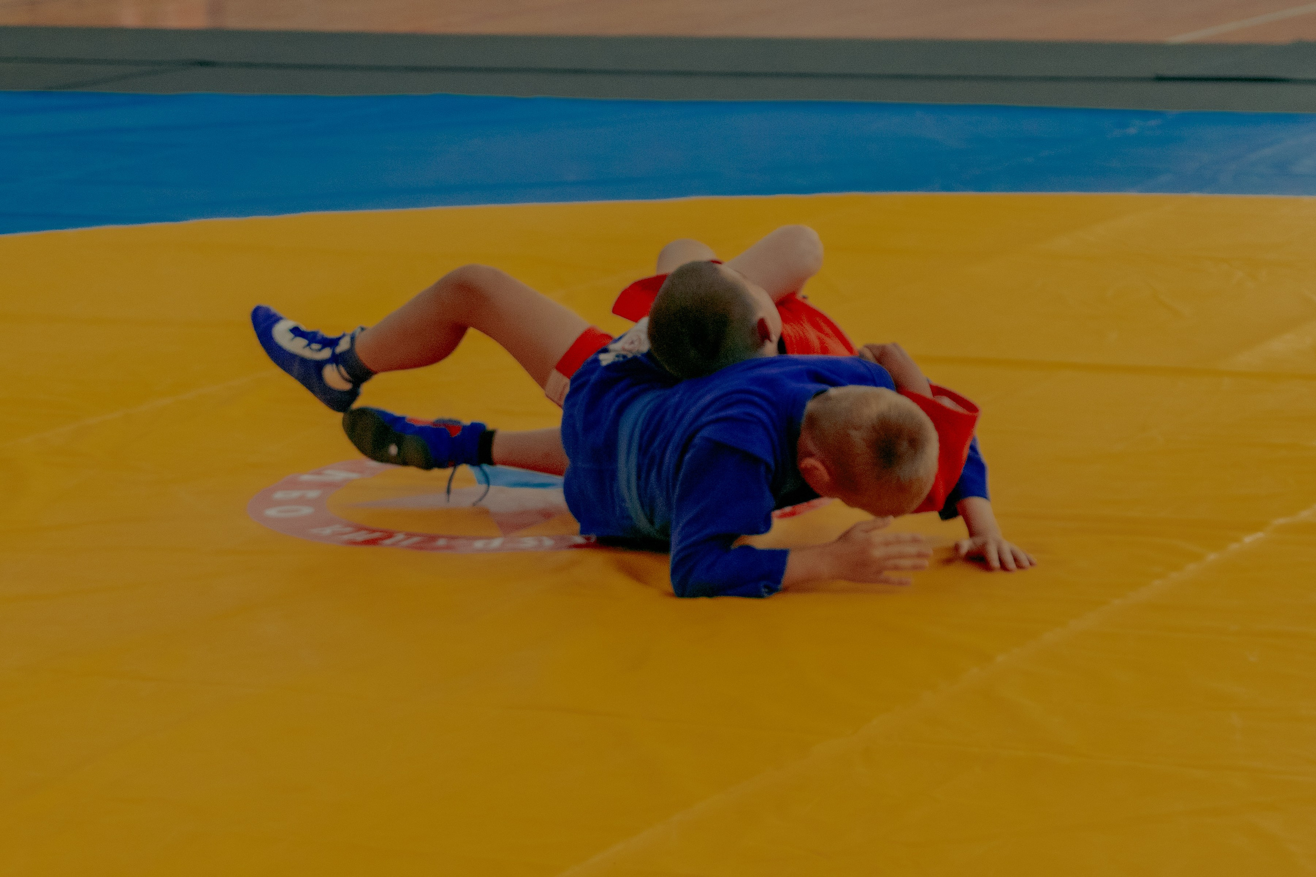 Самбо город Ишим