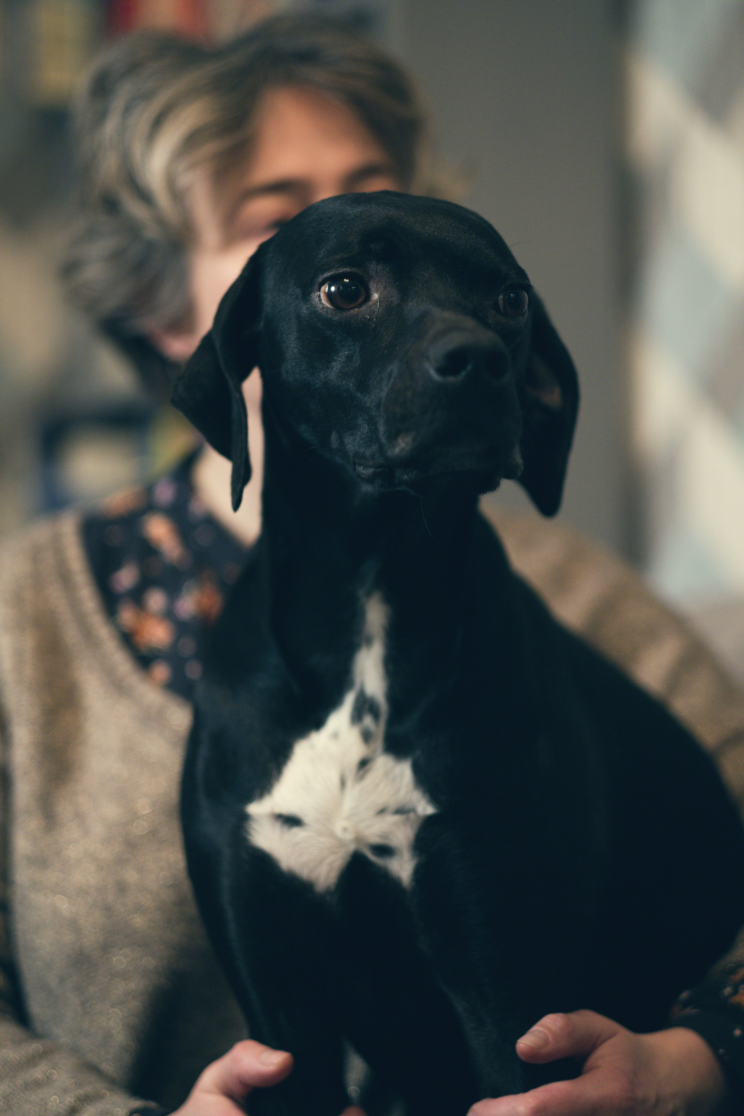 Чина и её люди. Дмитрий Бречалов