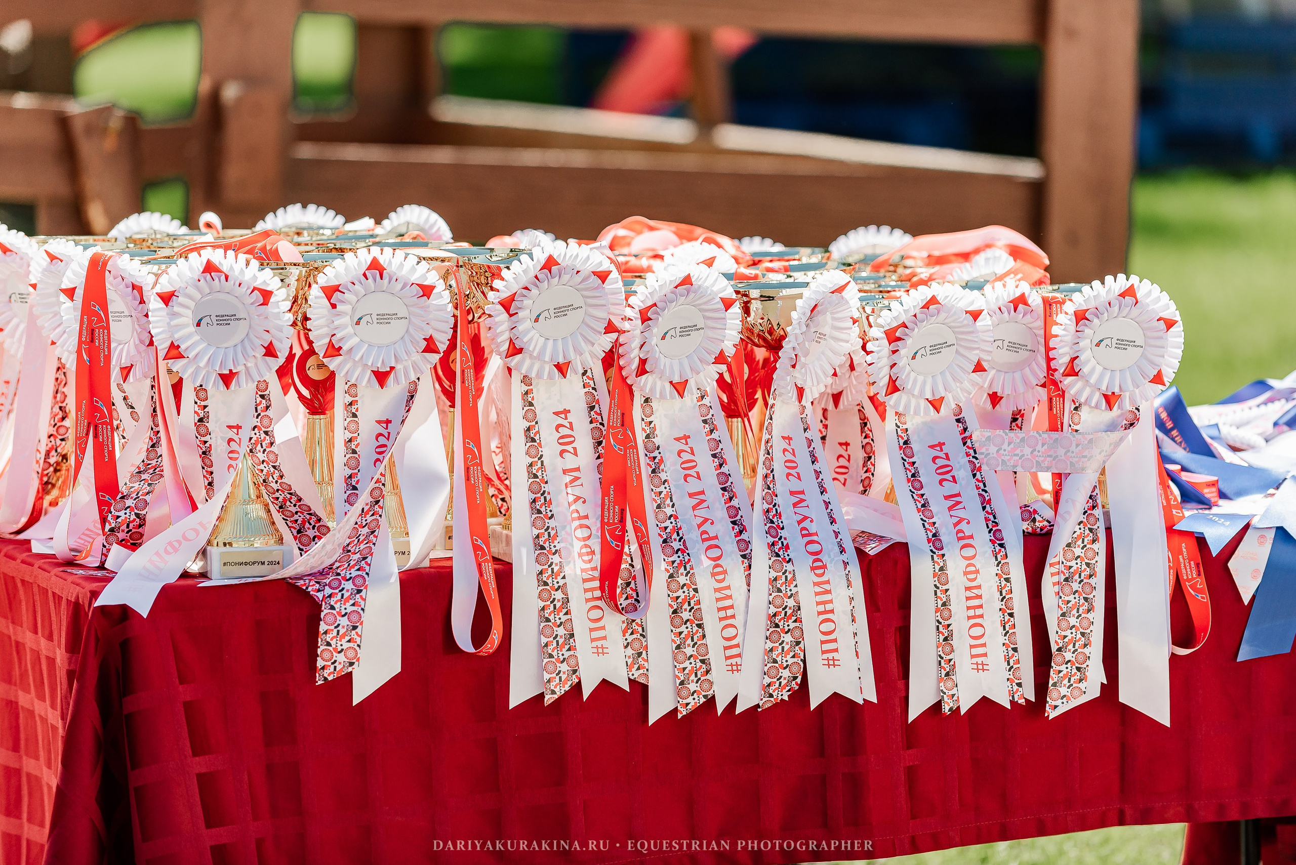 #ПОНИФОРУМ 2024. Конный фотограф Куракина Дарья • Фотосессии с лошадьми