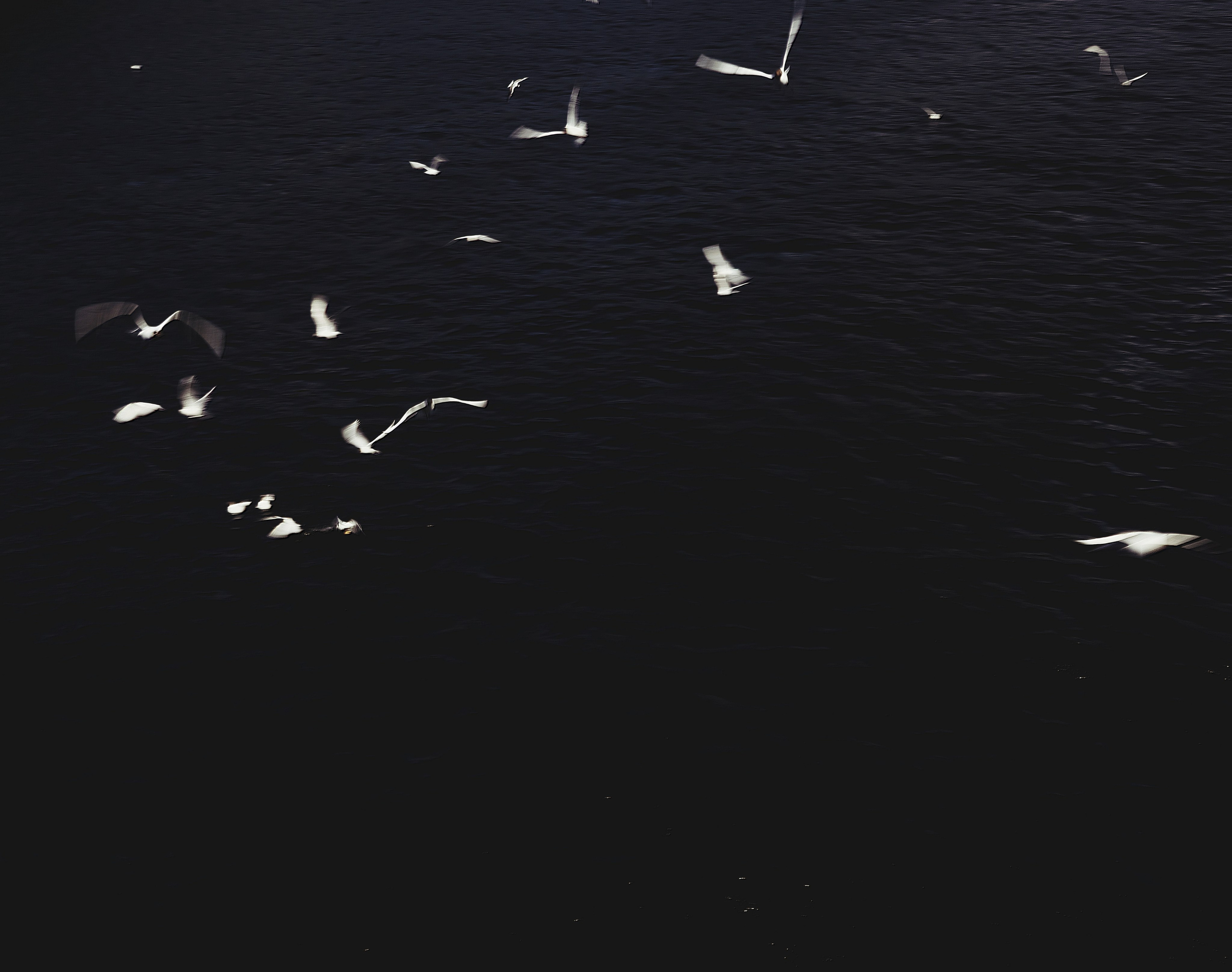 Природа &. Фотохудожник в СПб