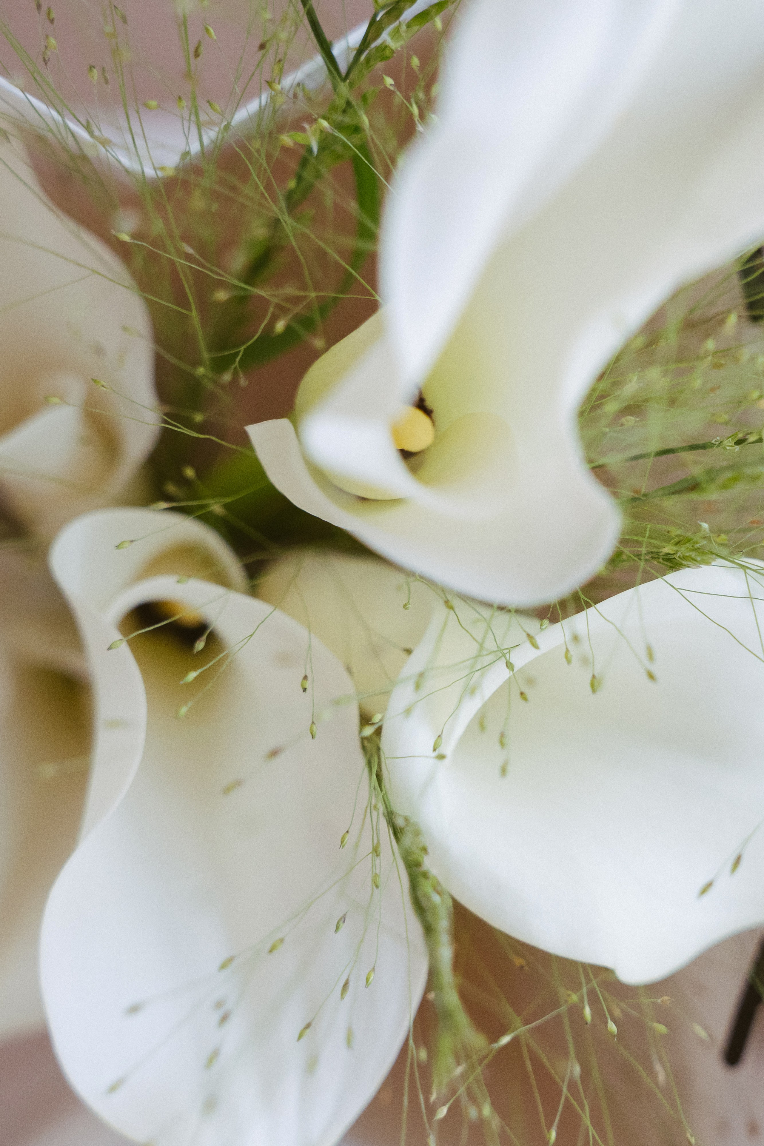 Камерная свадьба. Свадебный, репортажный, семейный фотограф Елена Брюхова