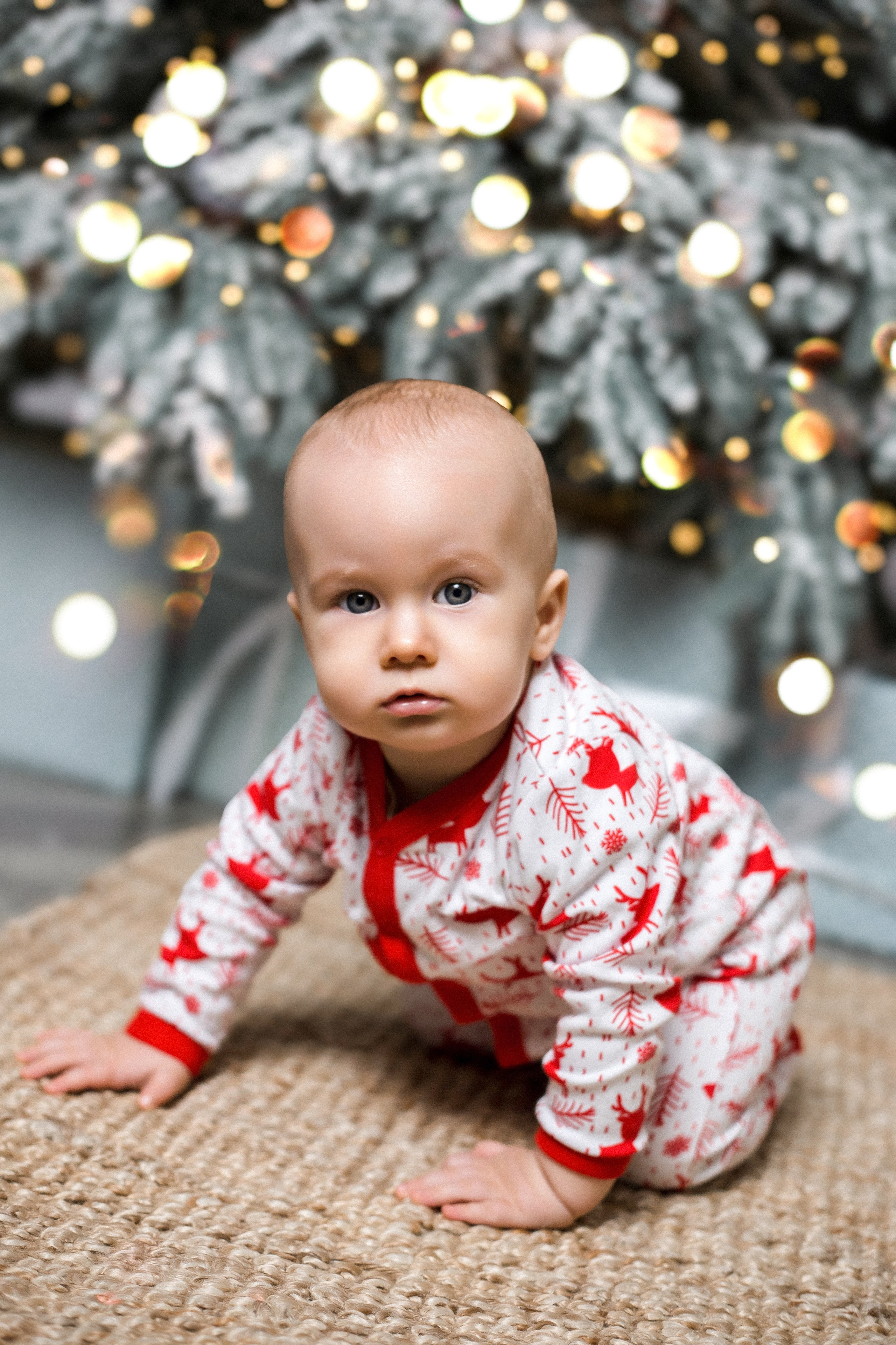 Студия Пастила. Портретный, семейный, свадебный фотограф в Брянске Маргарита Василькова