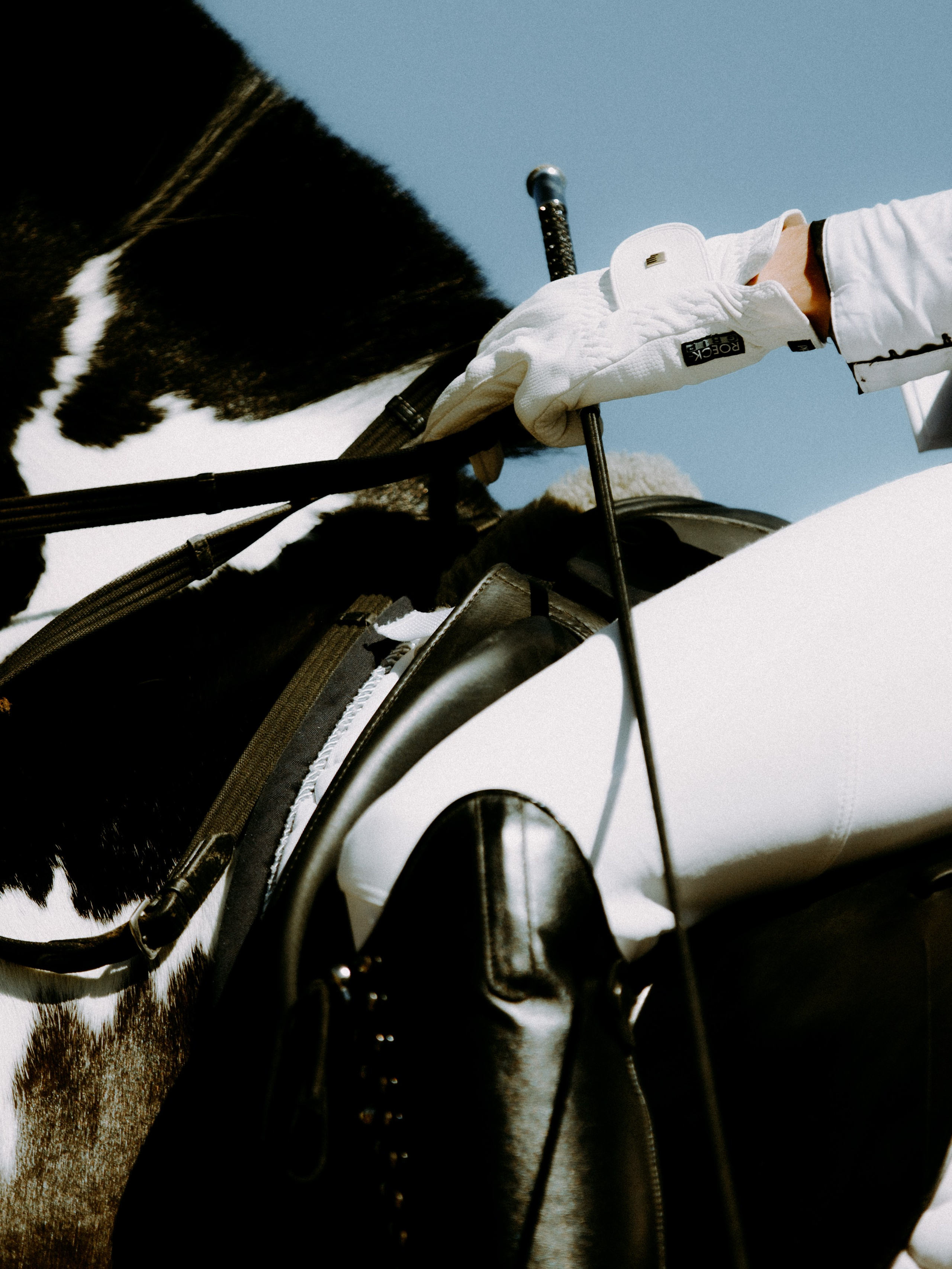 Спортивные фото/видео съёмки (конкур, выездка). Конный фотограф в Калининграде Елена Курбатова