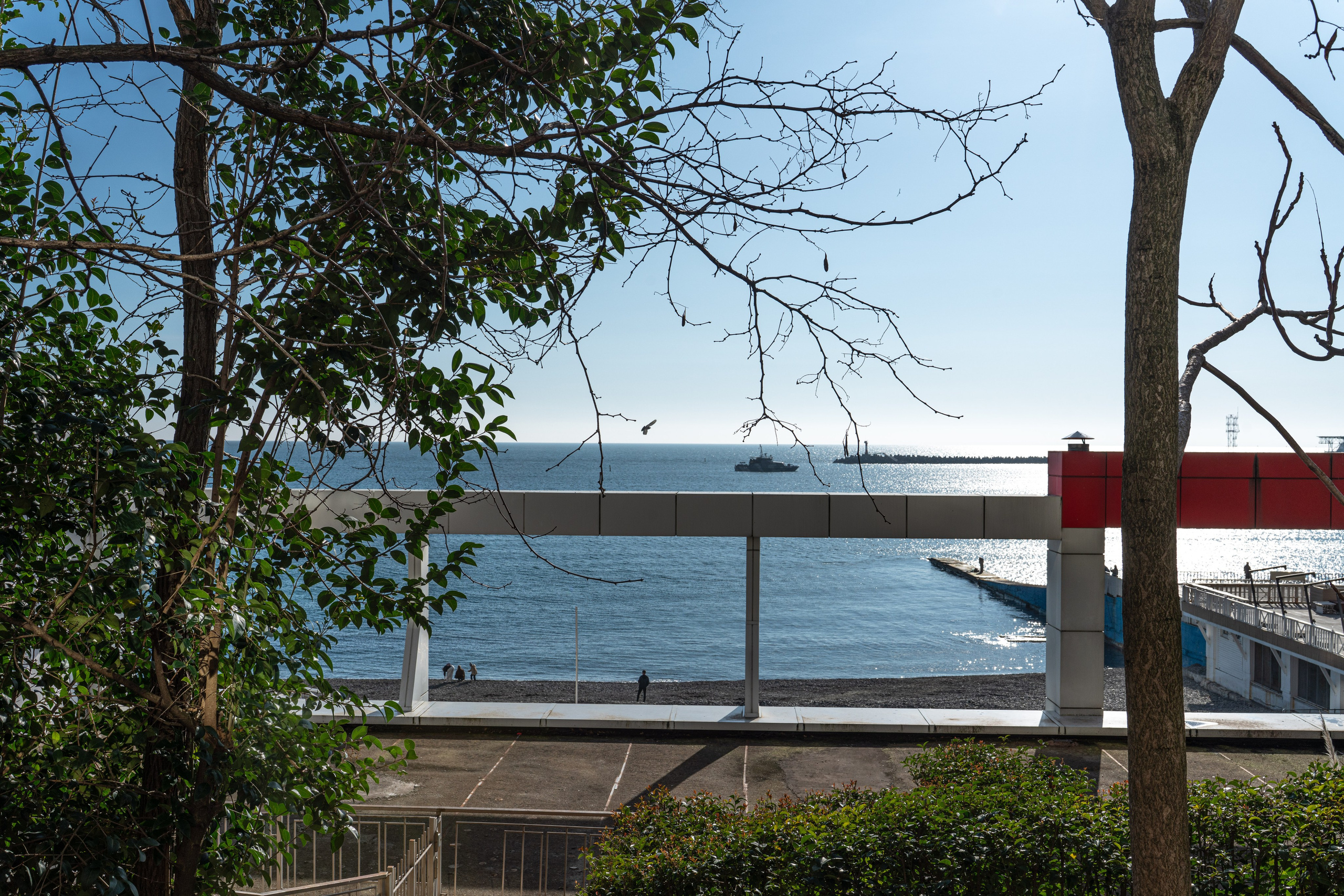 24032026. Фотограф Сочи