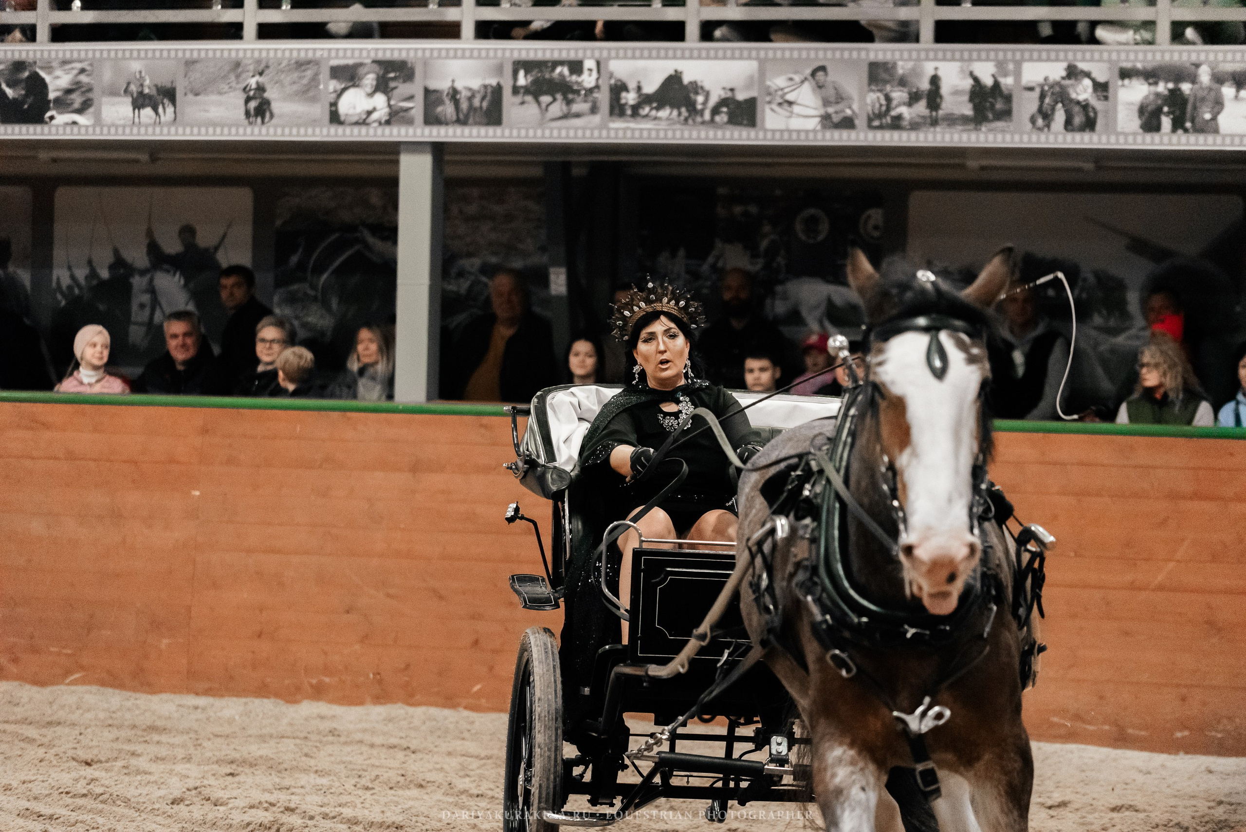 Конное представление «Дыхание Звёзд». Конный фотограф Куракина Дарья • Фотосессии с лошадьми