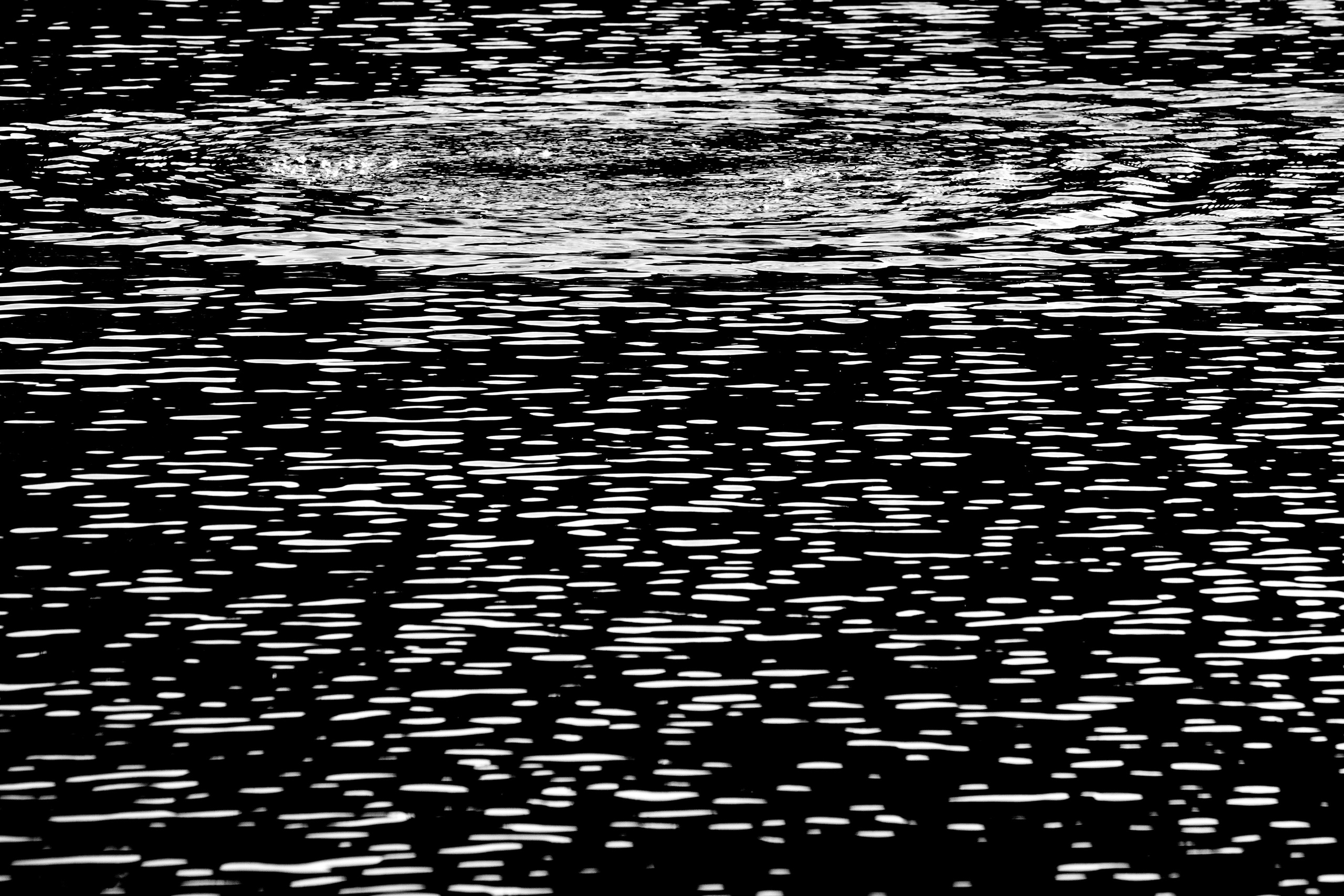 Фото. Фотограф Лагутин Анатолий