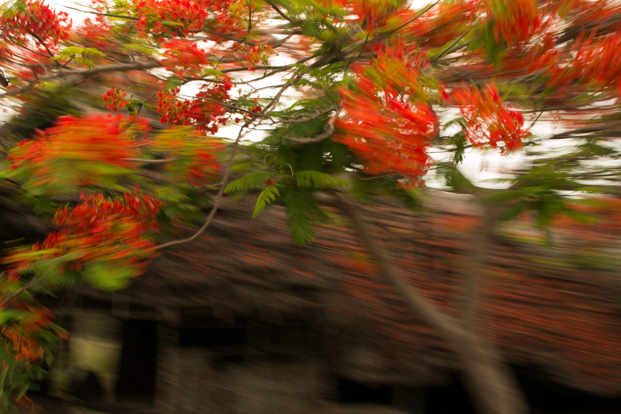 Выдержка. Фотограф Лагутин Анатолий