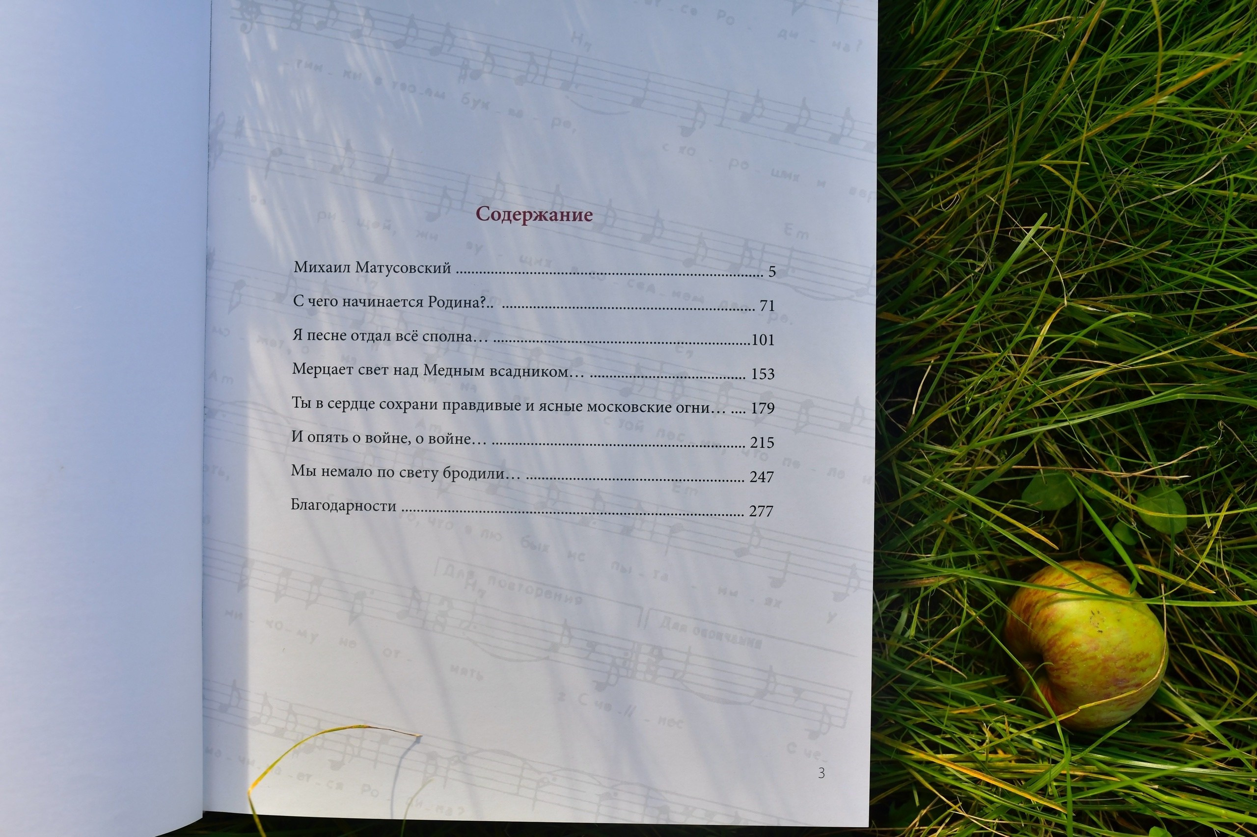 Три фотоработы попали в книгу, посвященную 110-летию со дня рождения М. Л. Матусовского. Фотографии Лены Соколовой