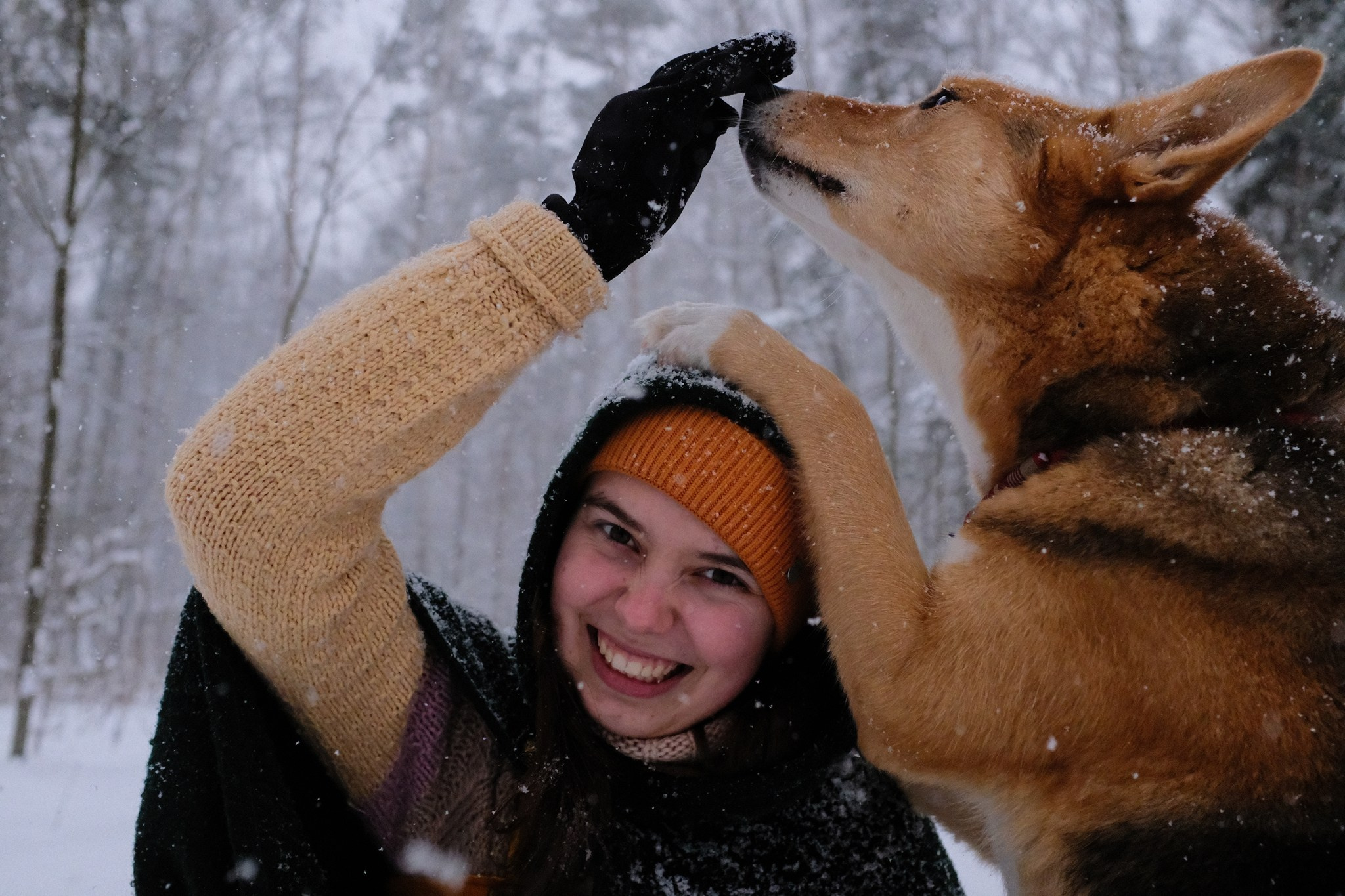 Герда, Лиса и их люди. Дмитрий Бречалов