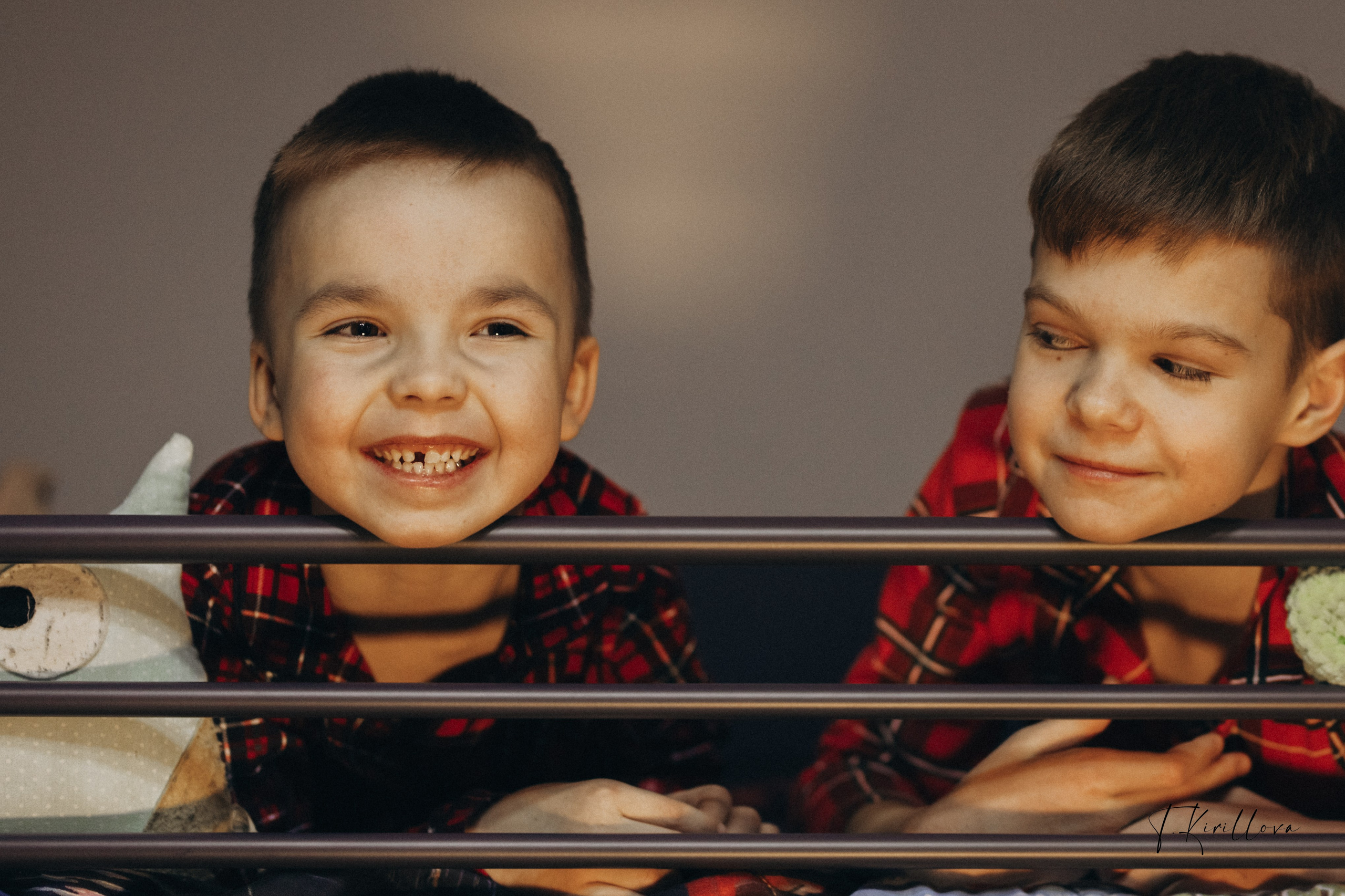 Новогоднее утро. Фотограф-анималист в Москве Кириллова Татьяна