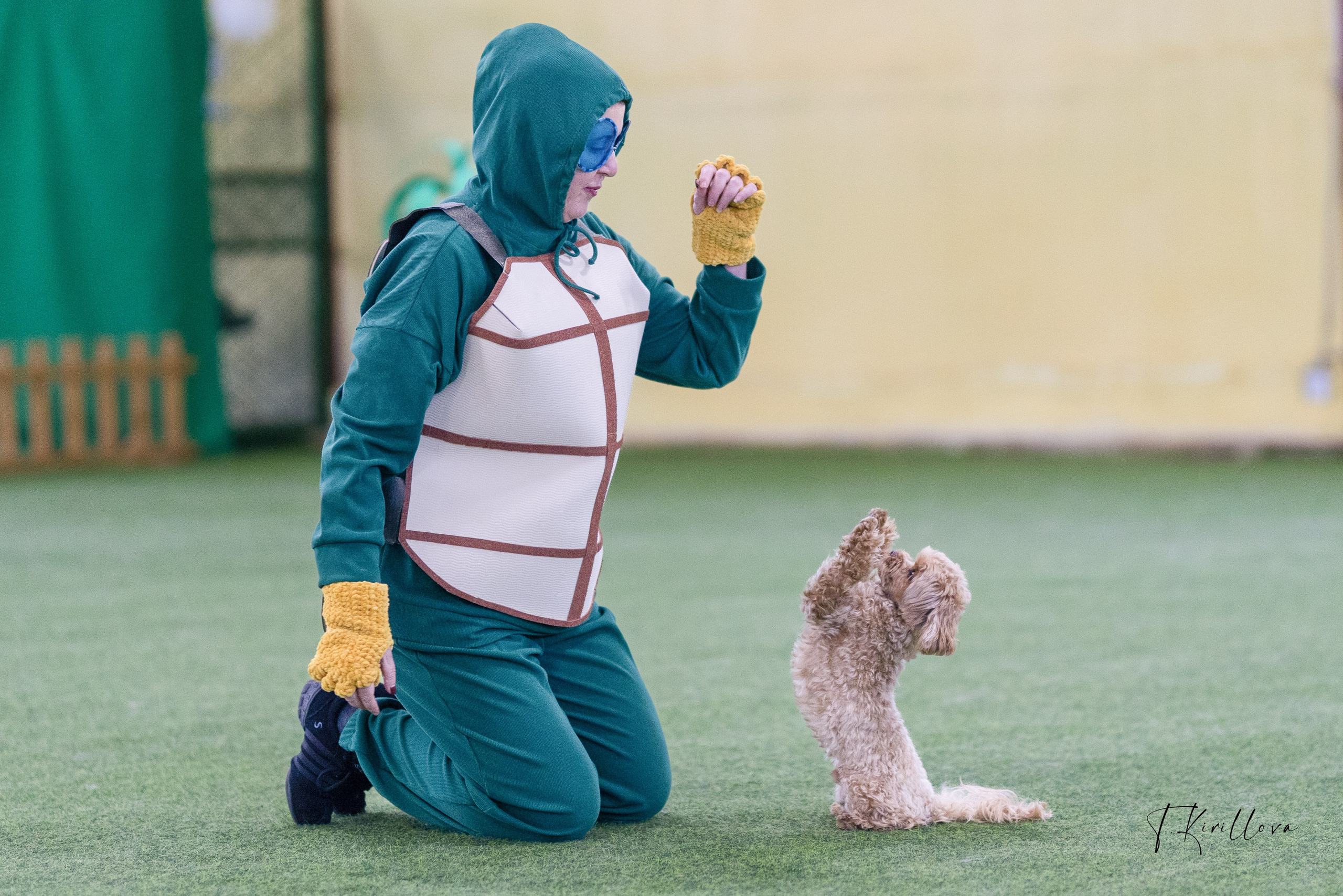 Соревнования танцы. Фотограф-анималист в Москве Кириллова Татьяна