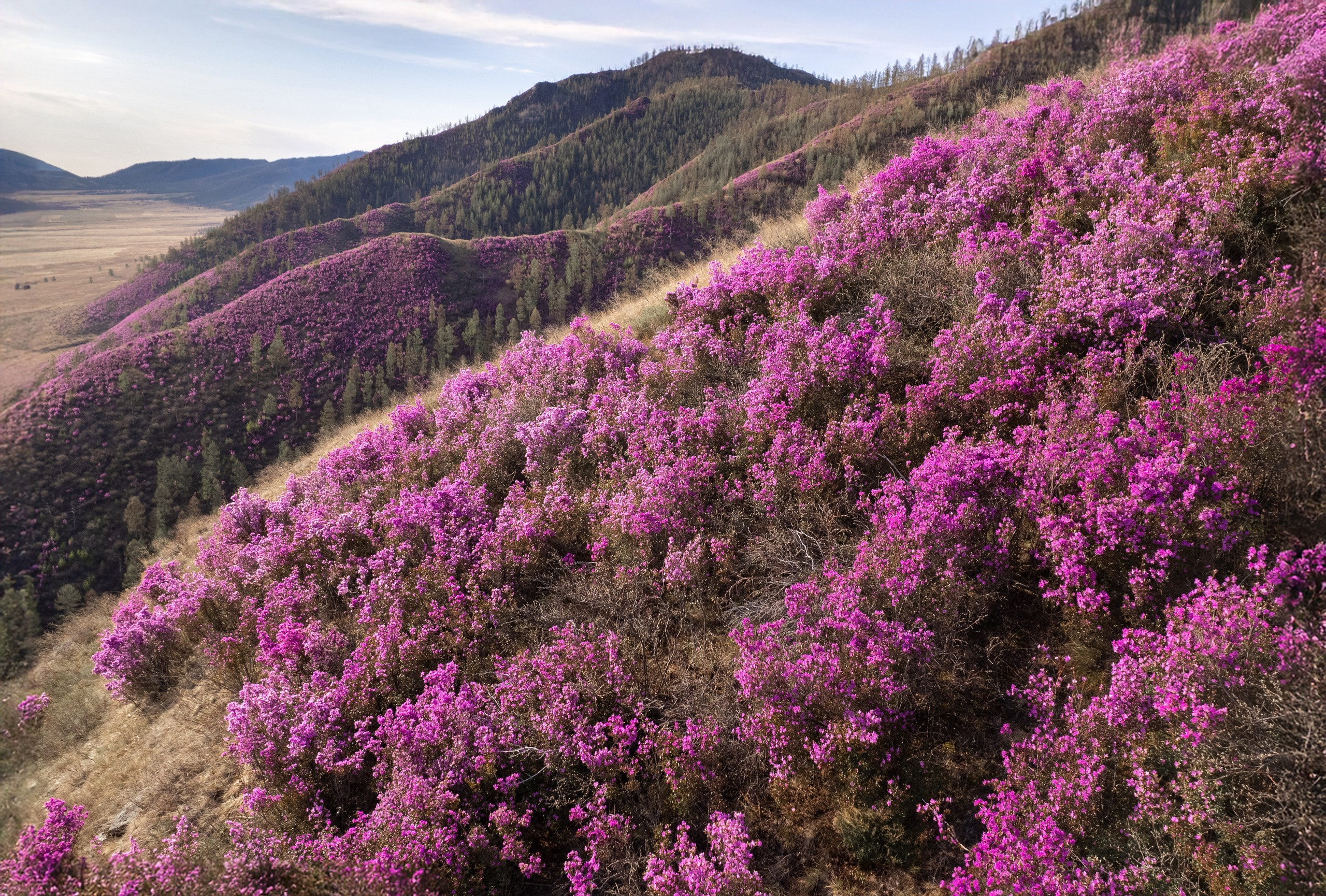 Тува. Фотограф в Красноярске Нерозя Александр. Пейзаж, природа, портрет