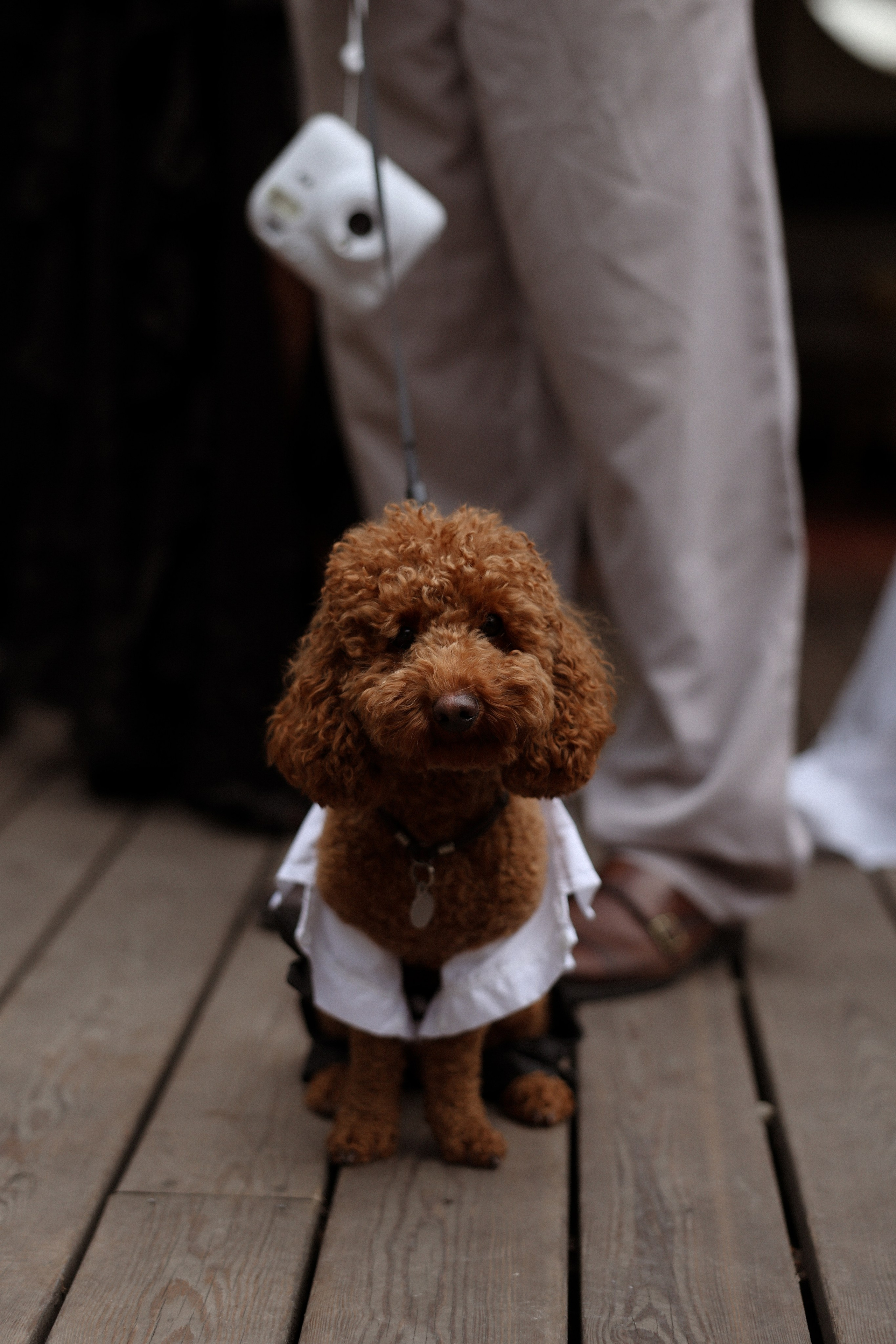 «Всегда» — Юлия и Александр. Свадебный и семейный фотограф в Москве Ломова Ирина