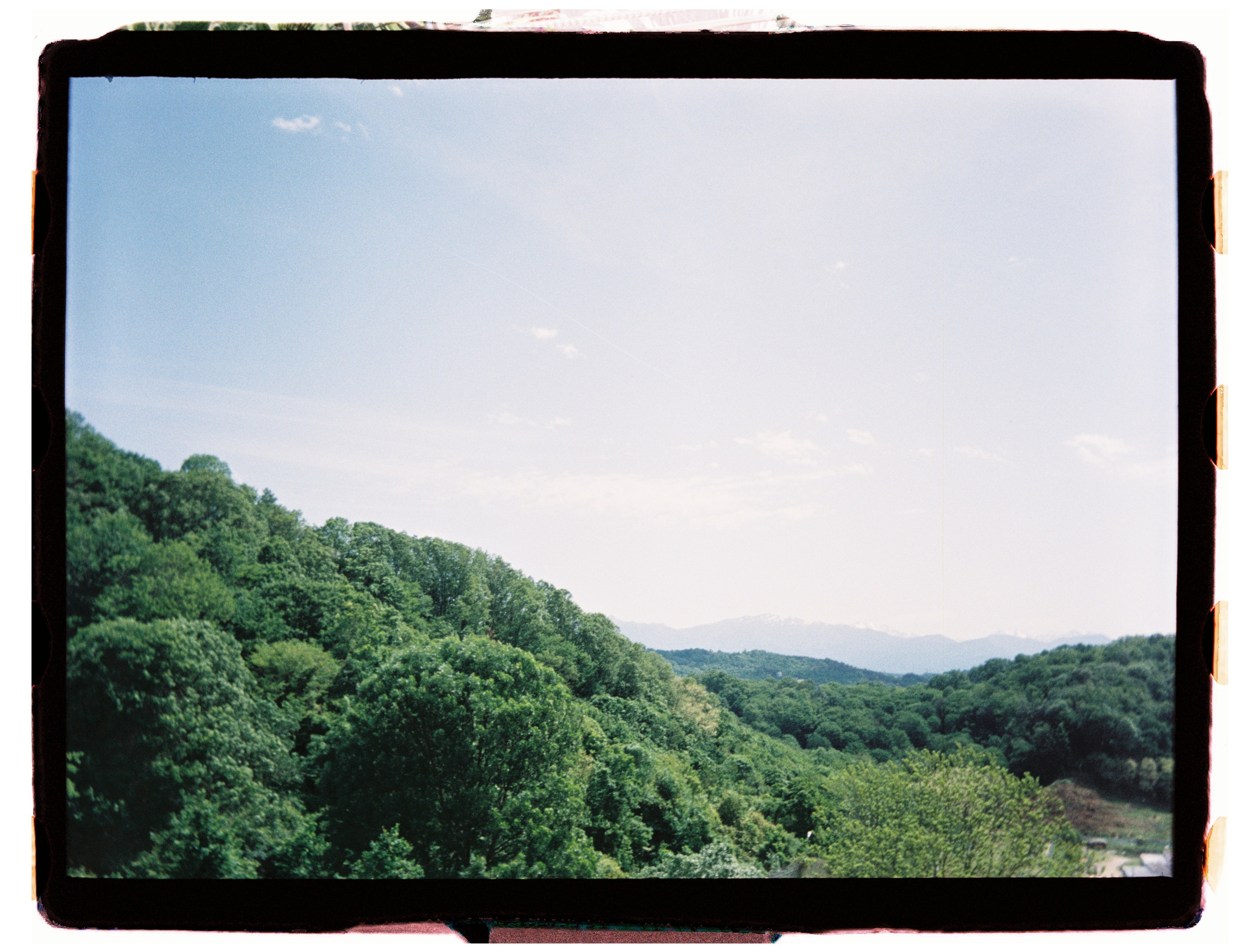 Юг. Профессиональный Фотограф во Владимире, в Москве и в Суздале — Полина Романычева