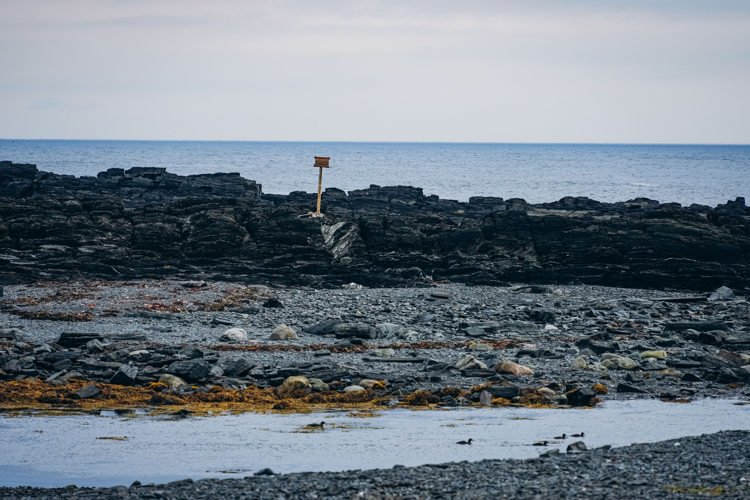СЕВЕР. Event фотограф Степанова Александра