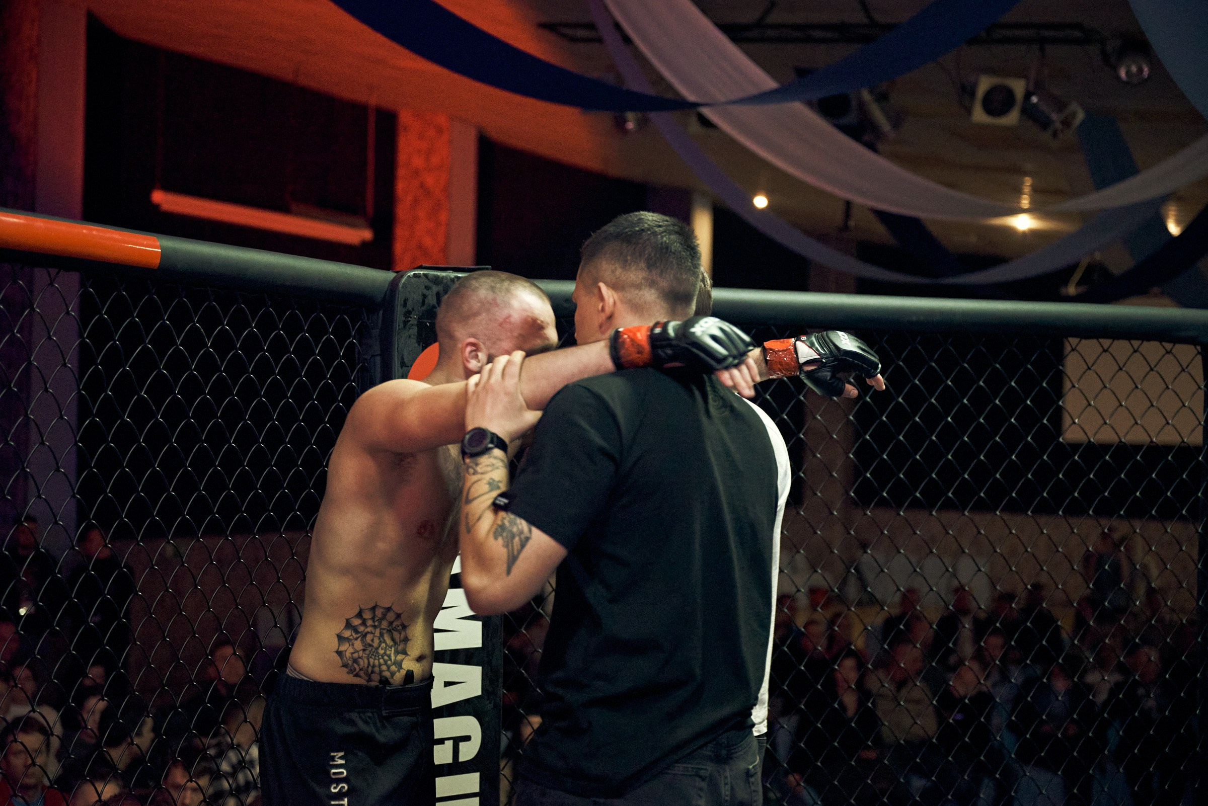 Бои. Маляревич Дмитрий свадебный фотограф