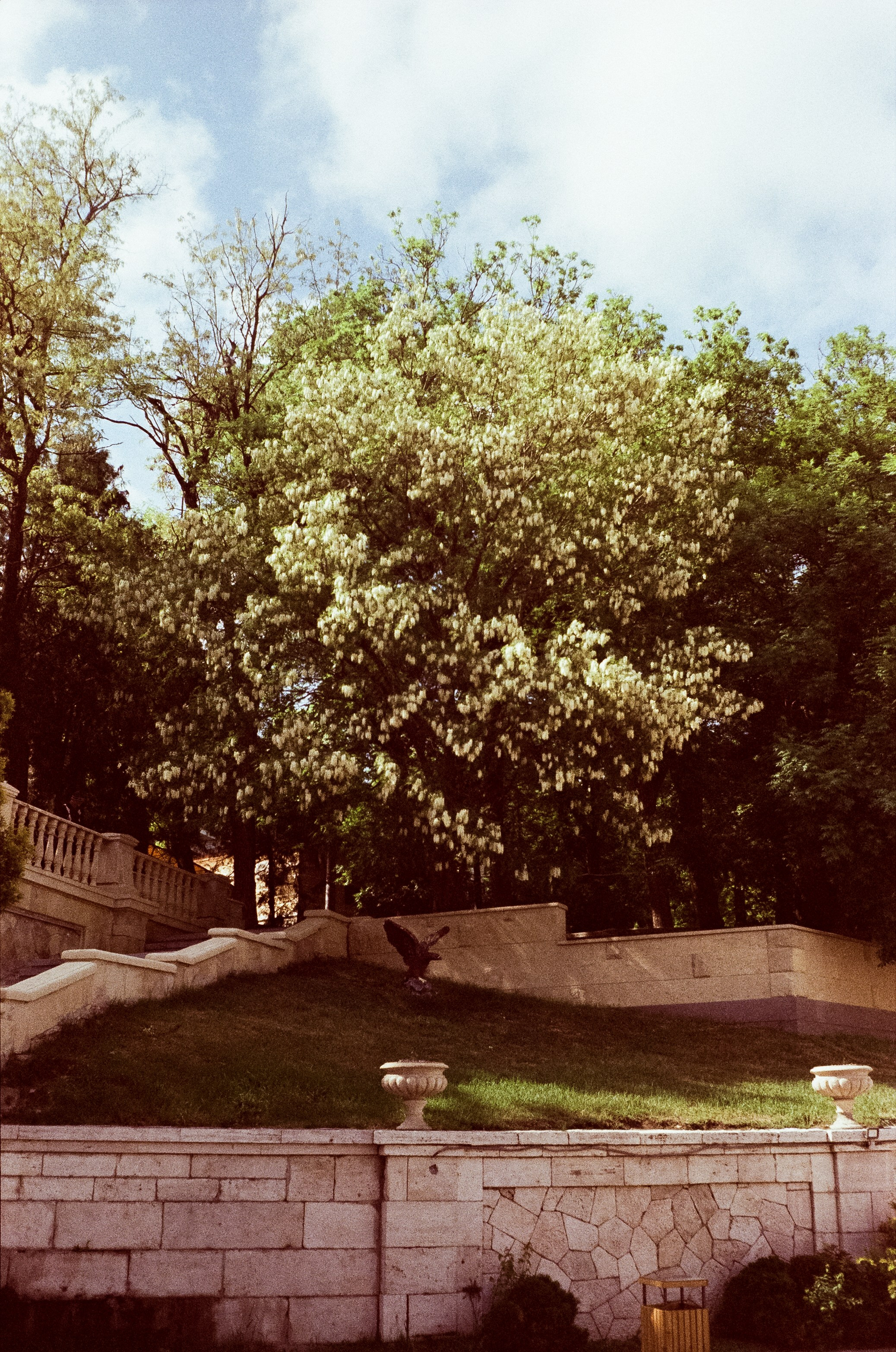 Ессентуки прогулка по городу / Minox 35GT / Agfa Vista 400 (просрочка)