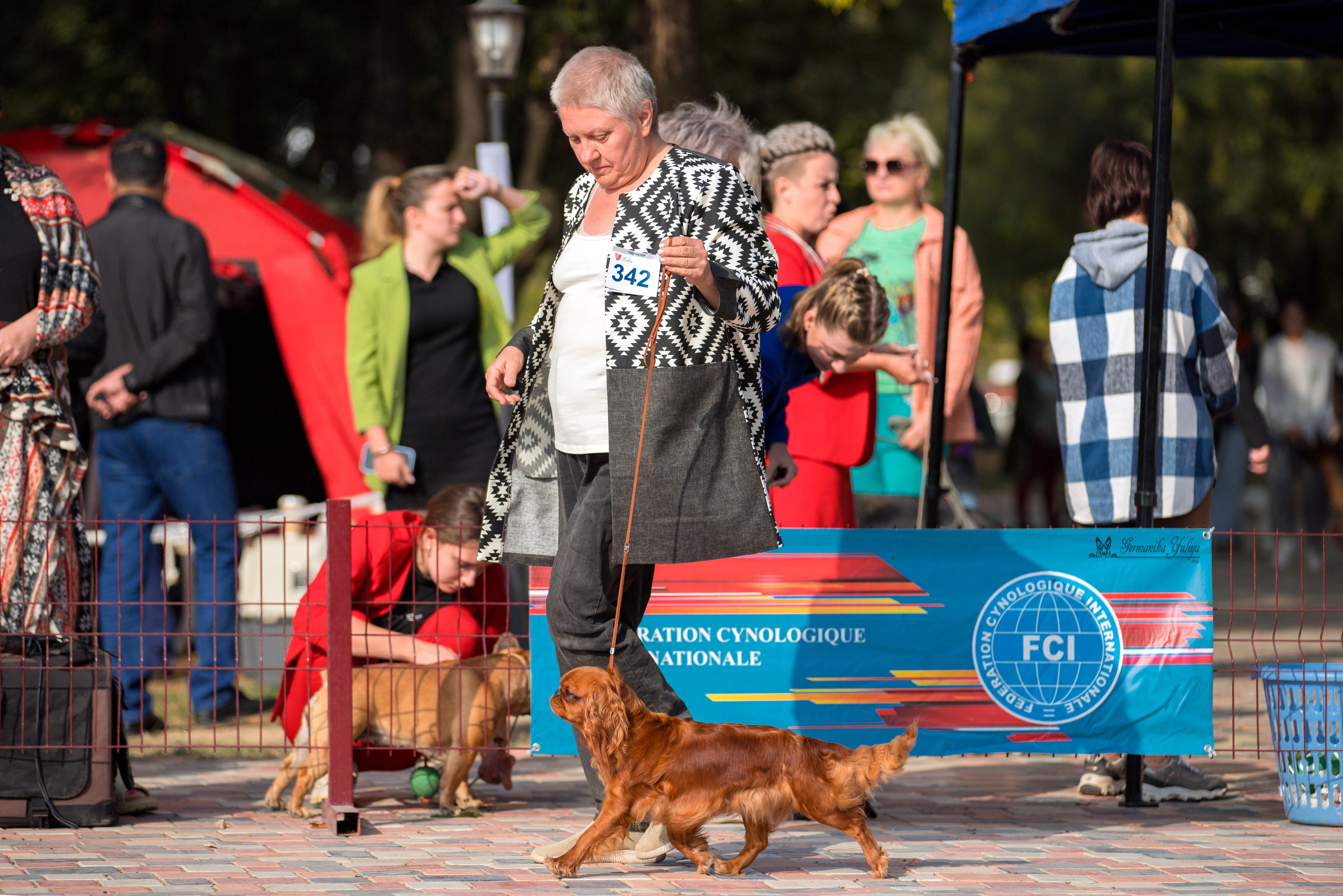 Ташкент 6-8.10.2023 + Алматы 14-15.10.2023. Фотограф-анималист Юлия Германика