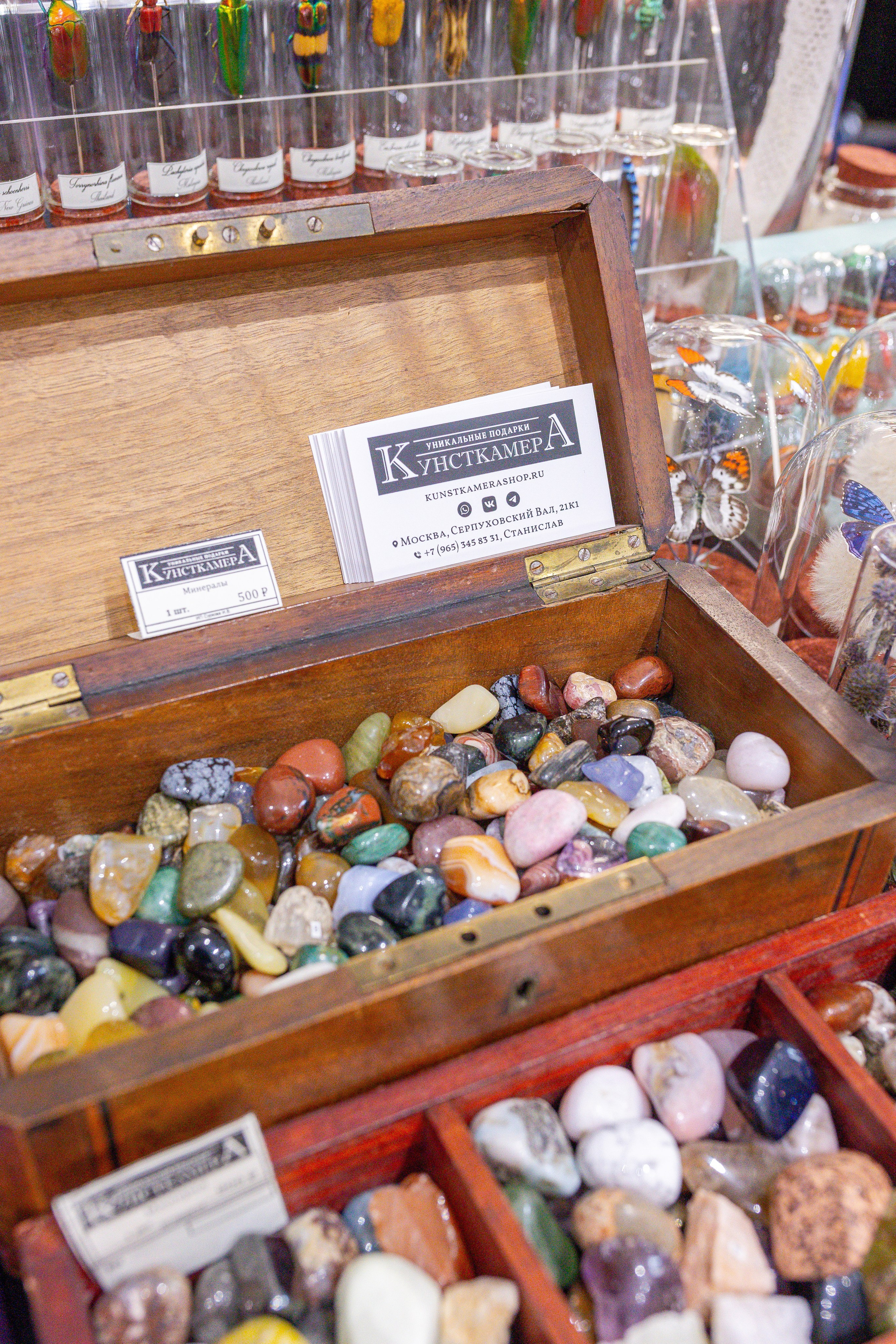 Монстериум 11–12 октября. Александра Куликова фотограф, Москва