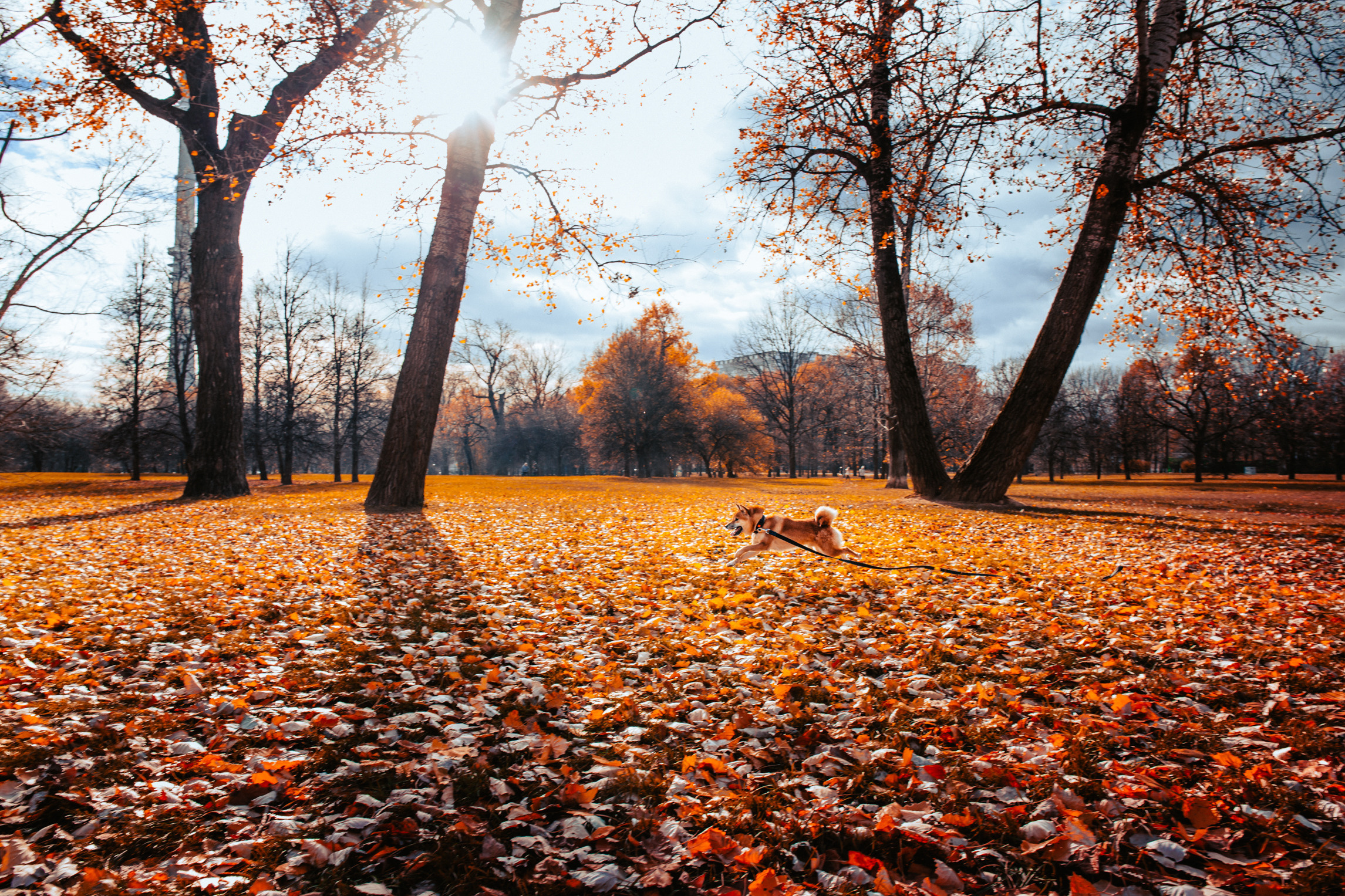 Photographer Evgeniya Moskova