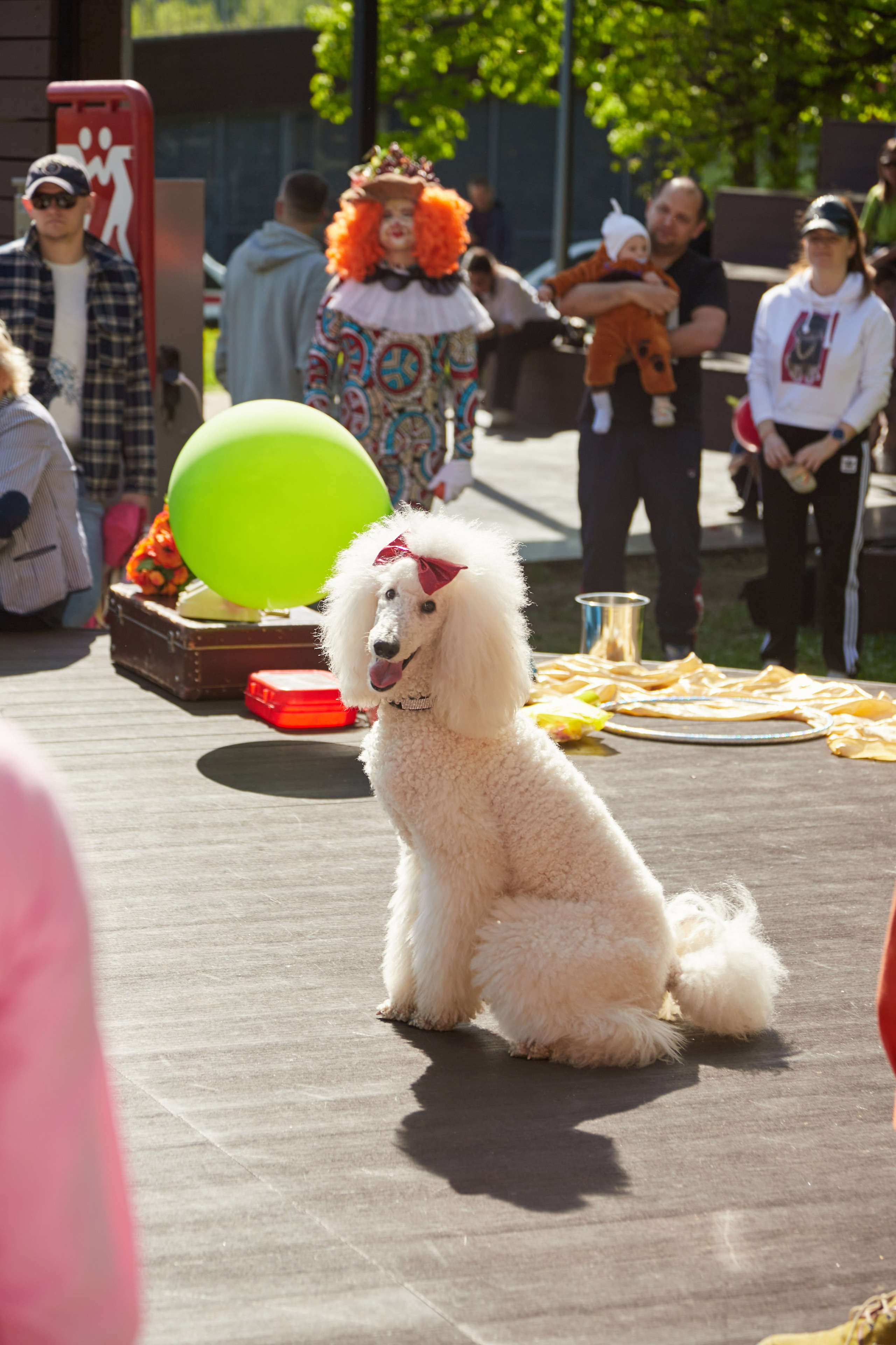 Фотосессия. Профессиональный фотограф в Москве