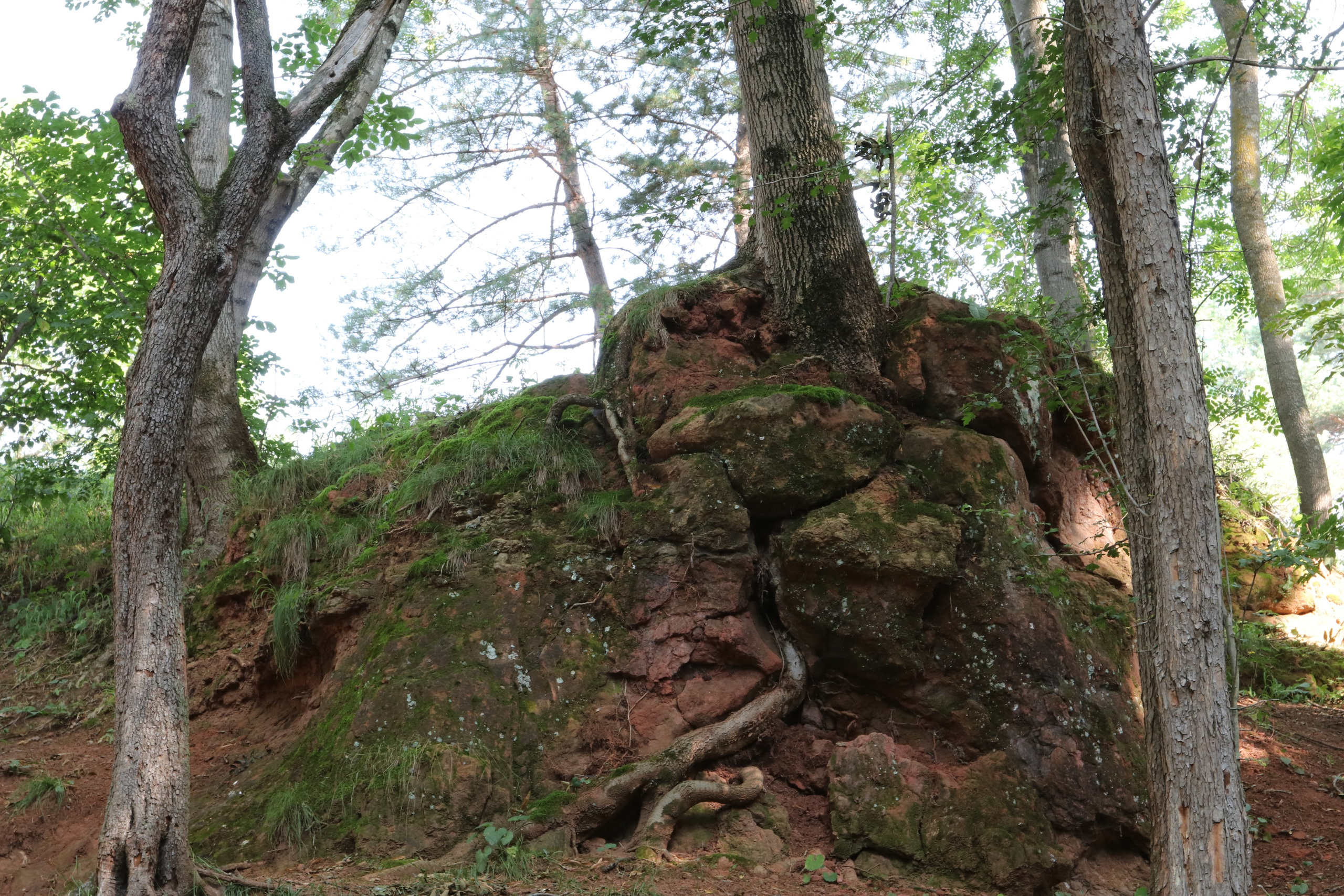 Кисловодские пейзажи. Фото-художник и Репортажный фотограф Николаев Александр Алексеевич
