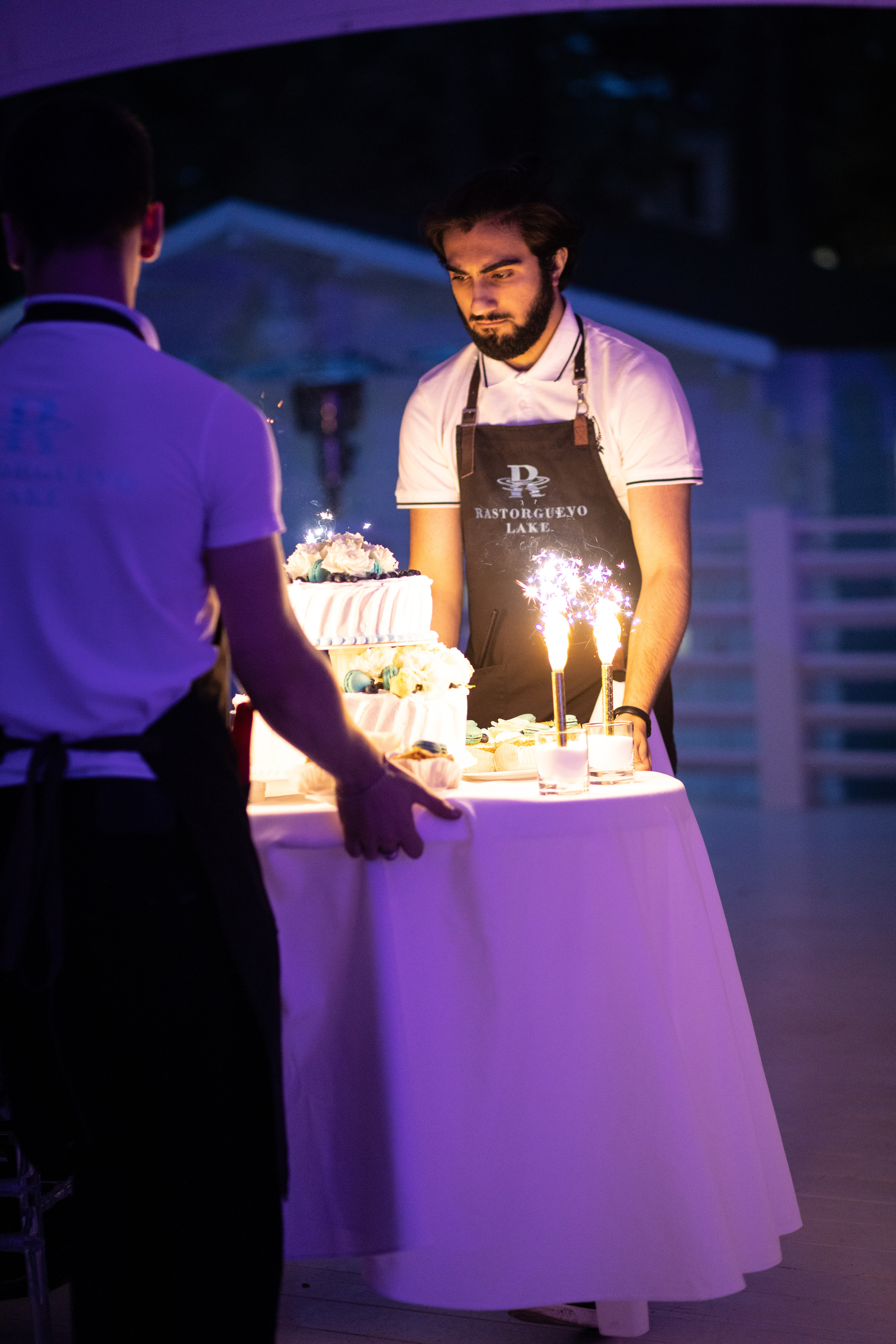 Надя и Рома. Ведущий на свадьбу в Москве Зубков Алексей