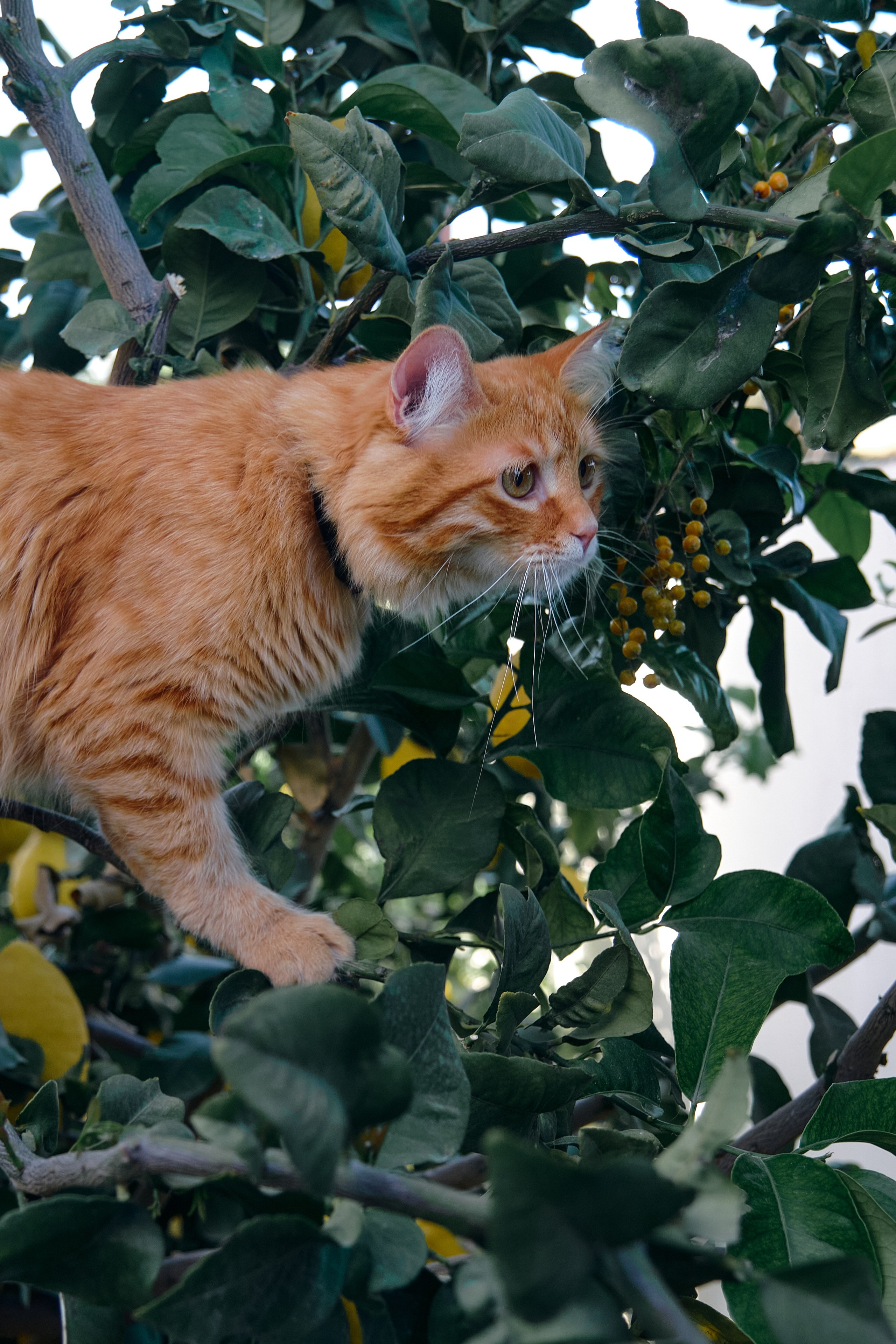 Сyprus > 2024 / april. Aleksandr Kobtsev