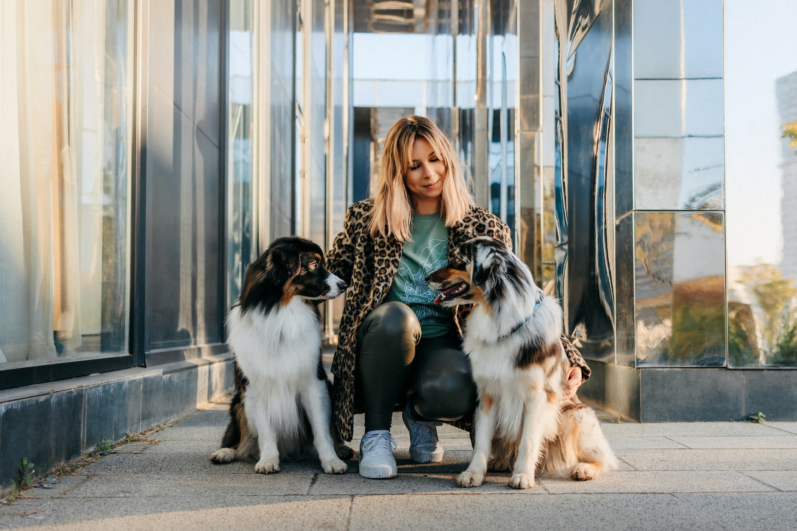 Аня, Чарли и Ева. Фотограф-анималист Елена Радченко, Москва