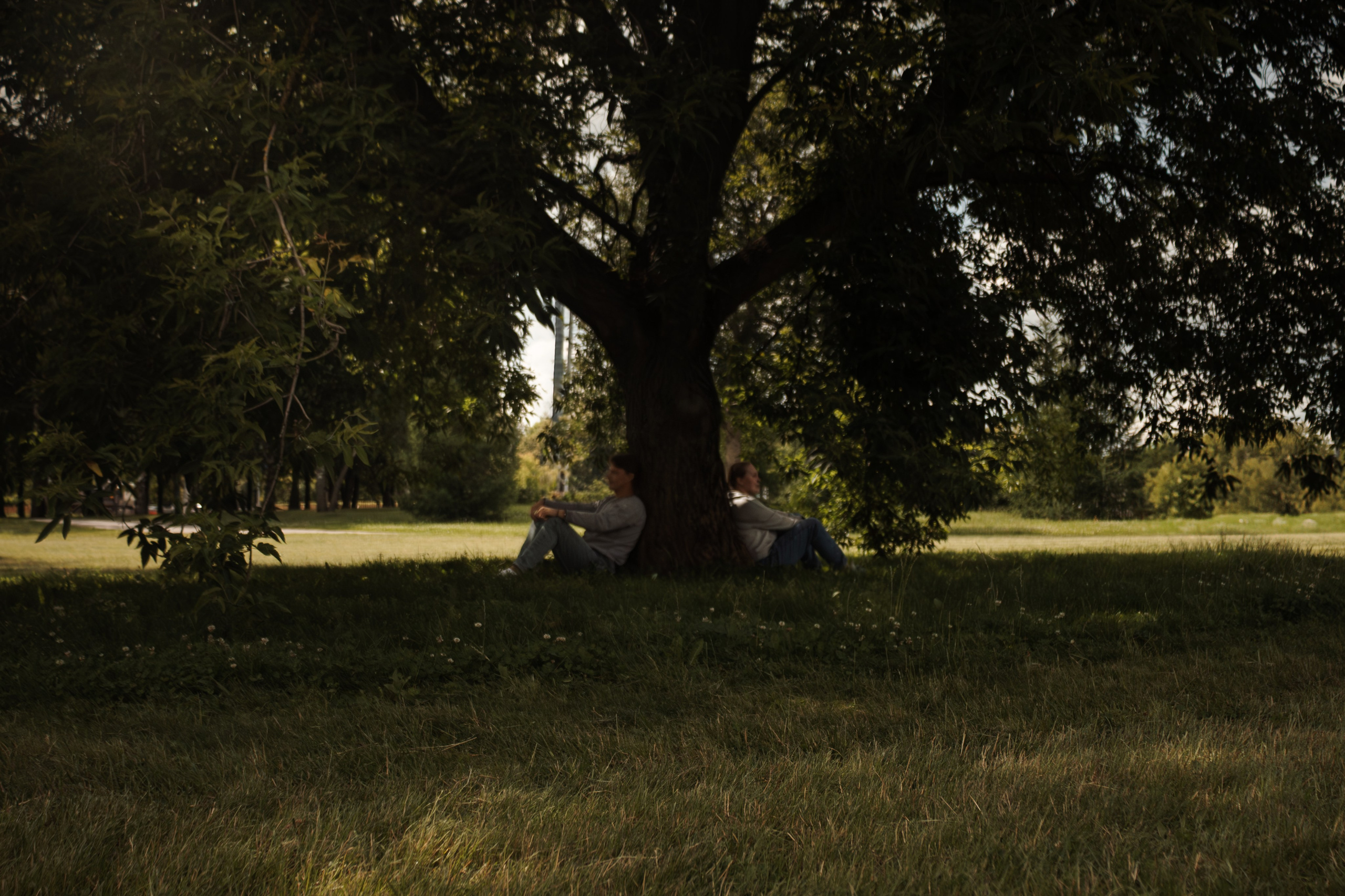 Фотосессия для пары в Коломенском. Фотограф-анималист в Москве Екатерина Тихонова