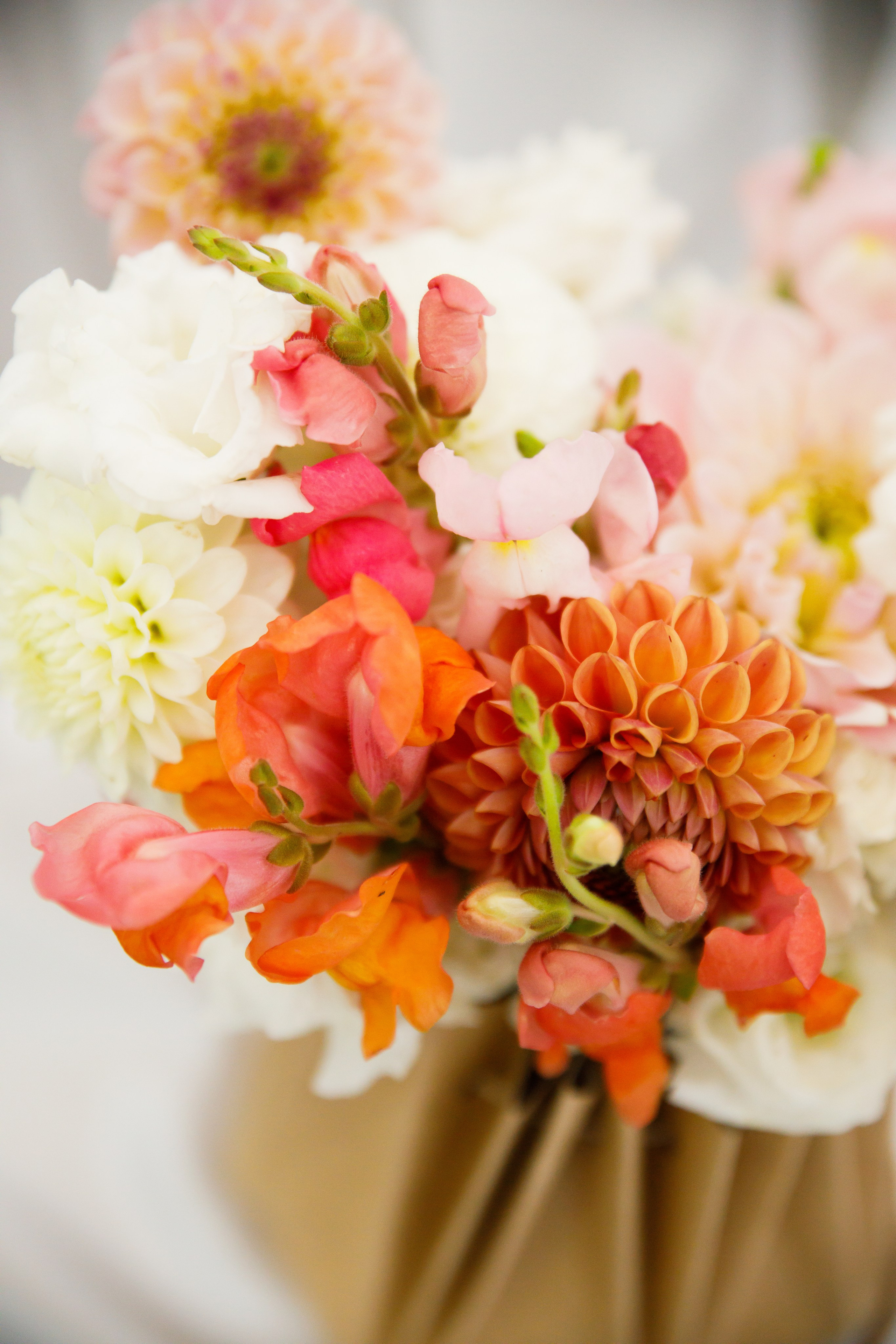 Ангелина и Никита. Фотограф в Полоцке Новополоцк Минск