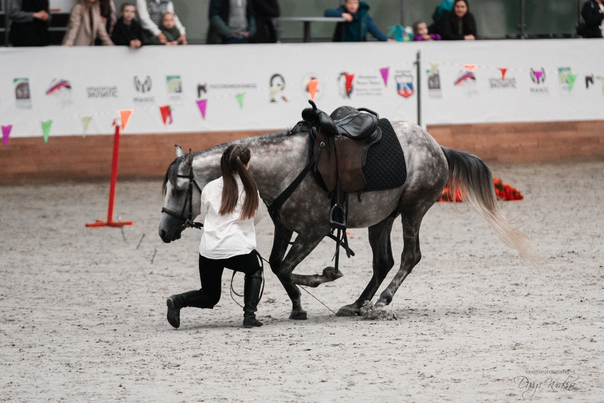 8-я международная выставка Конная Россия. Конный фотограф Куракина Дарья • Фотосессии с лошадьми