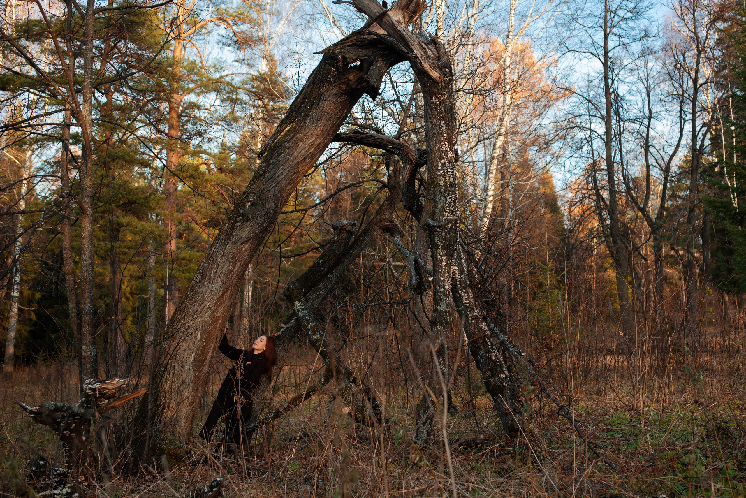 В осеннем лесу. Фотограф в Нижнем Тагиле | Екатеринбурге Сергей Завьялов