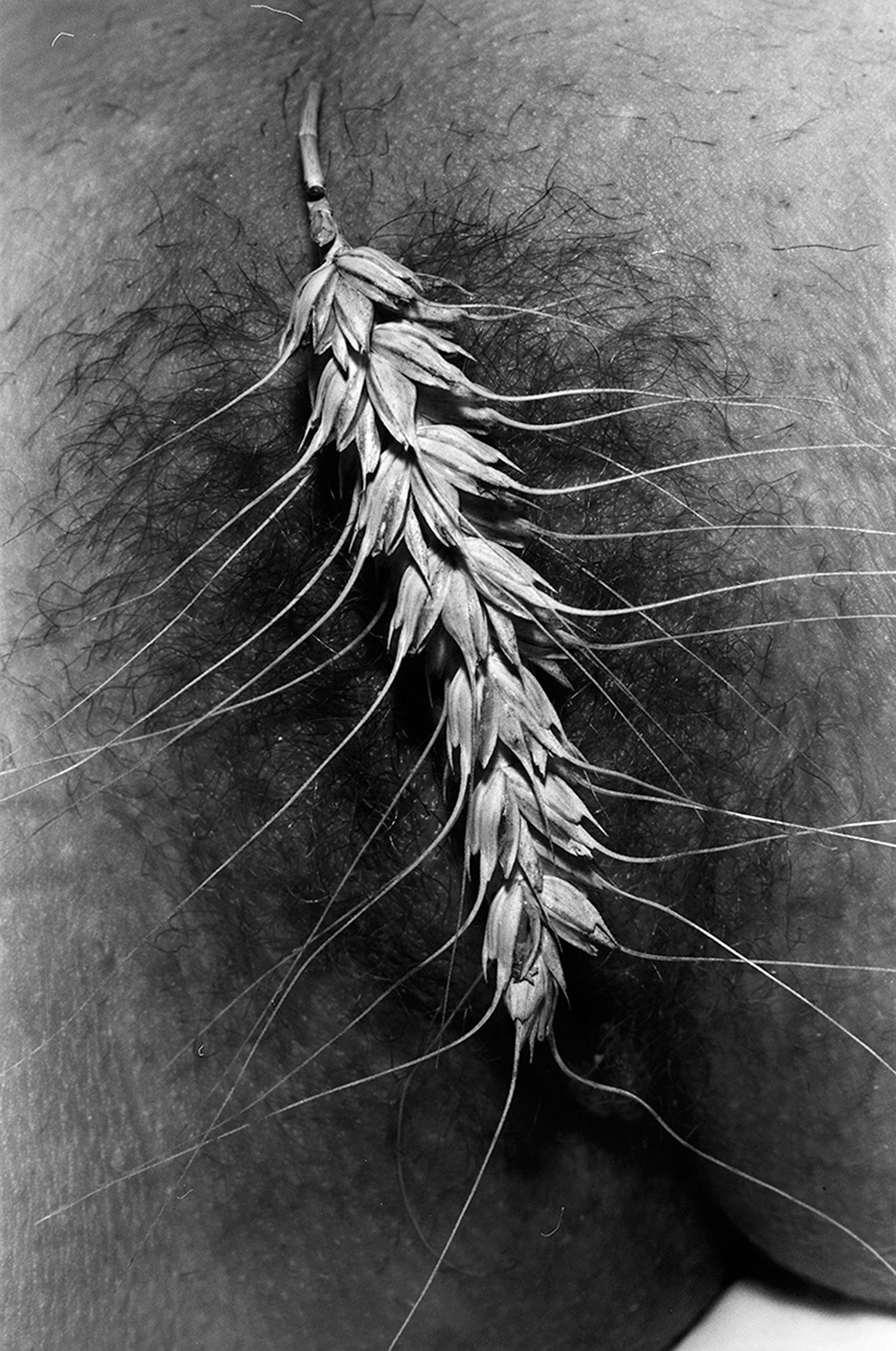 Тень. Философия и Семиотика тени в фотографии и лингвистике. Портретный и художественный фотограф в Москве Пётр Корень