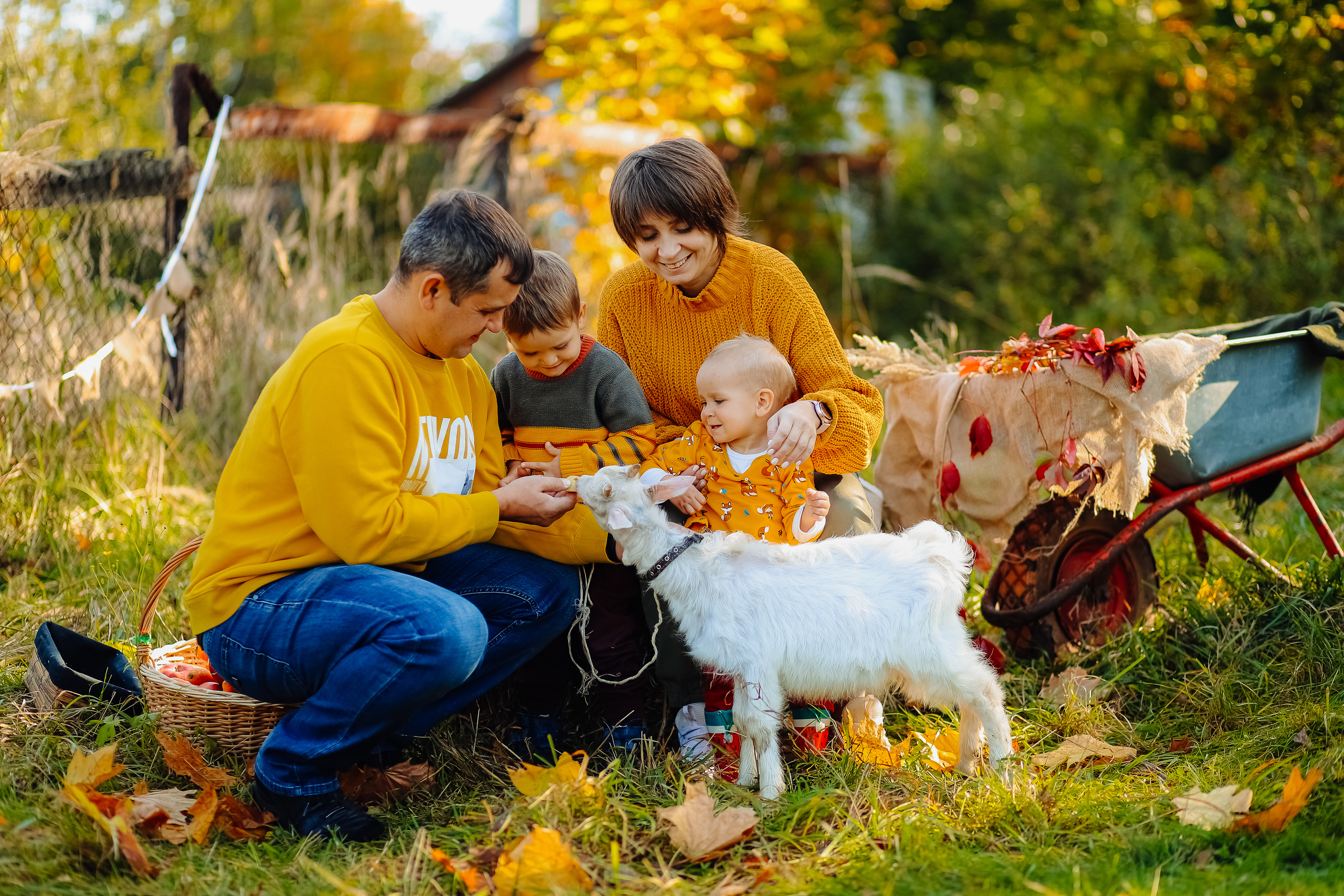 Фотосъемка с утятами. Фотограф Карпачан Анастасия