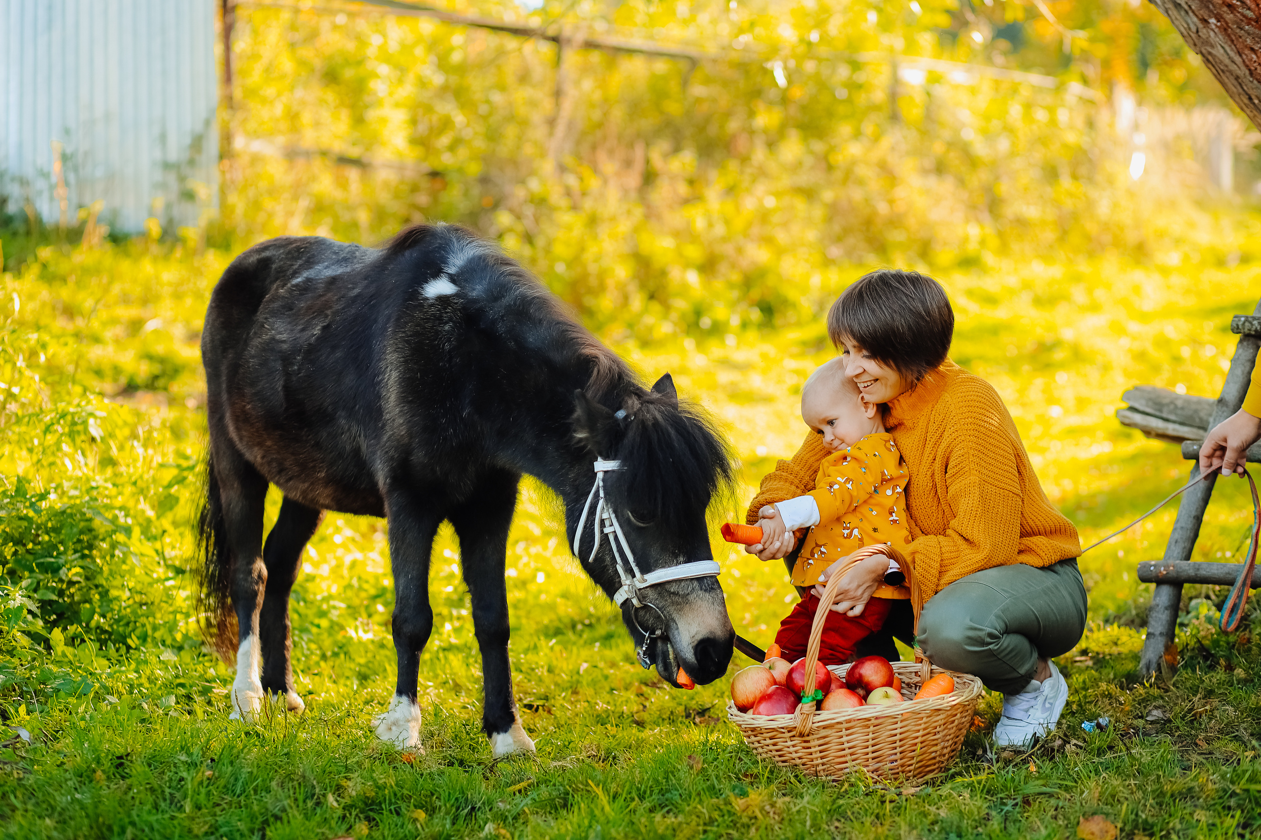 Фотосъемка с утятами. Фотограф Карпачан Анастасия