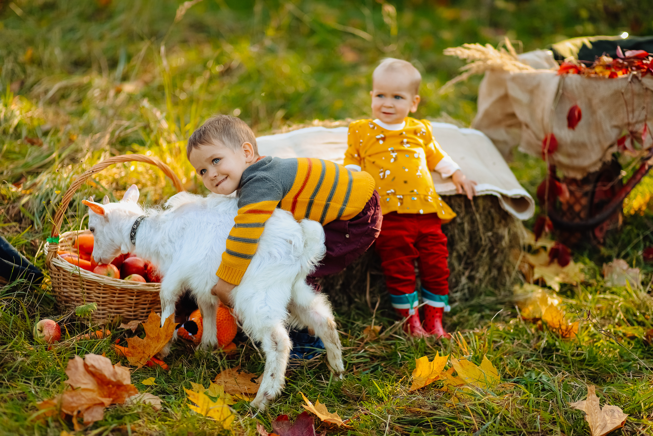 Фотосъемка с утятами. Фотограф Карпачан Анастасия