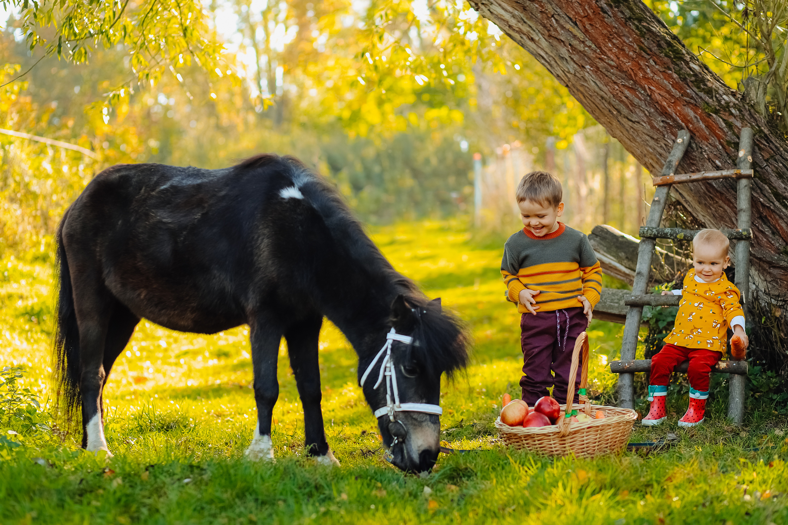 Фотосъемка с утятами. Фотограф Карпачан Анастасия