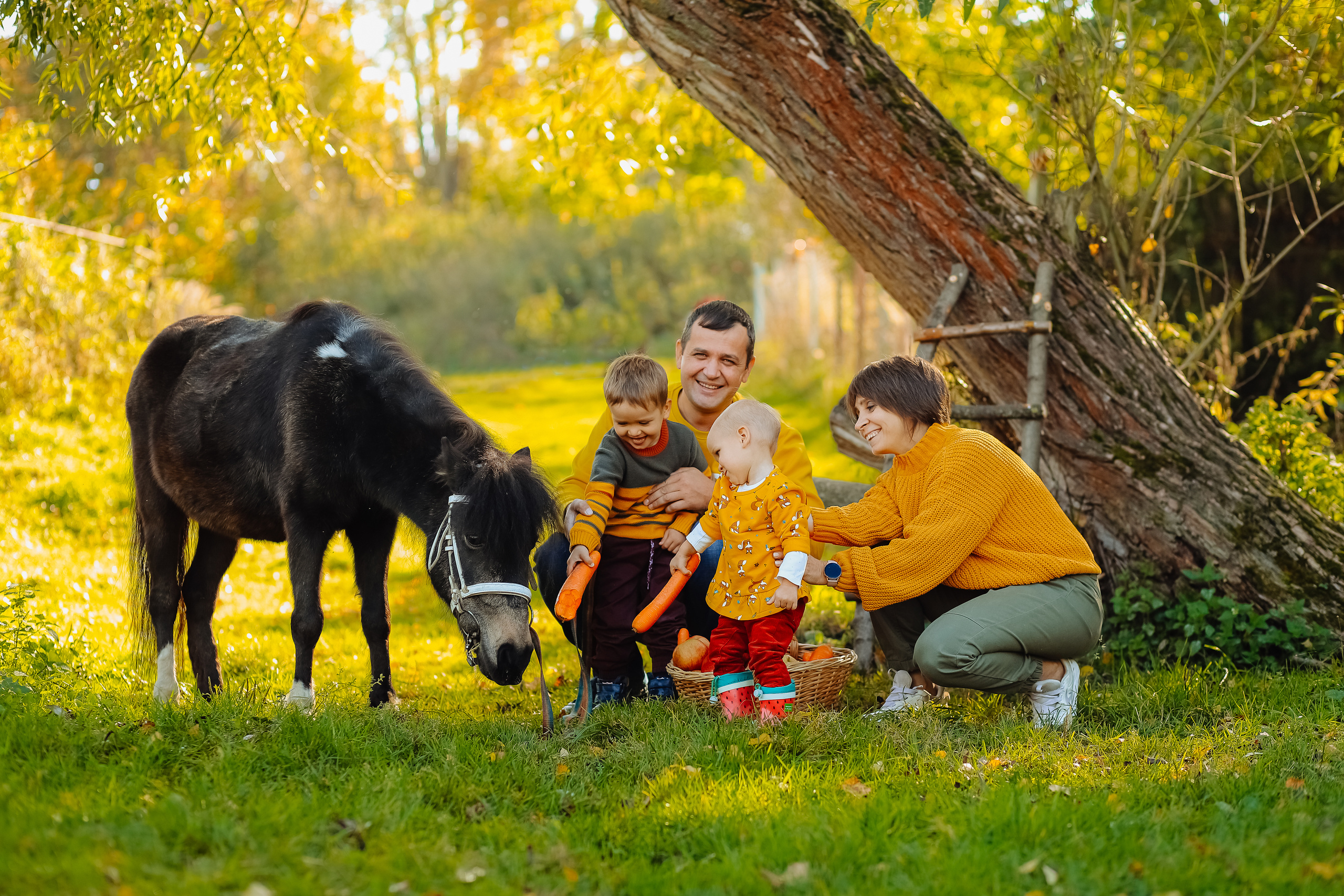 Фотосъемка с утятами. Фотограф Карпачан Анастасия