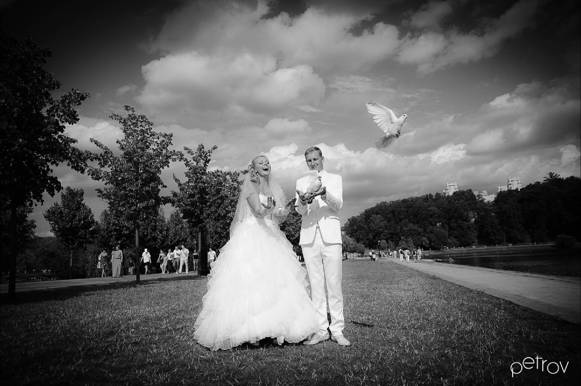 Свадебная фотосъемка. Фотограф Дмитрий Петров