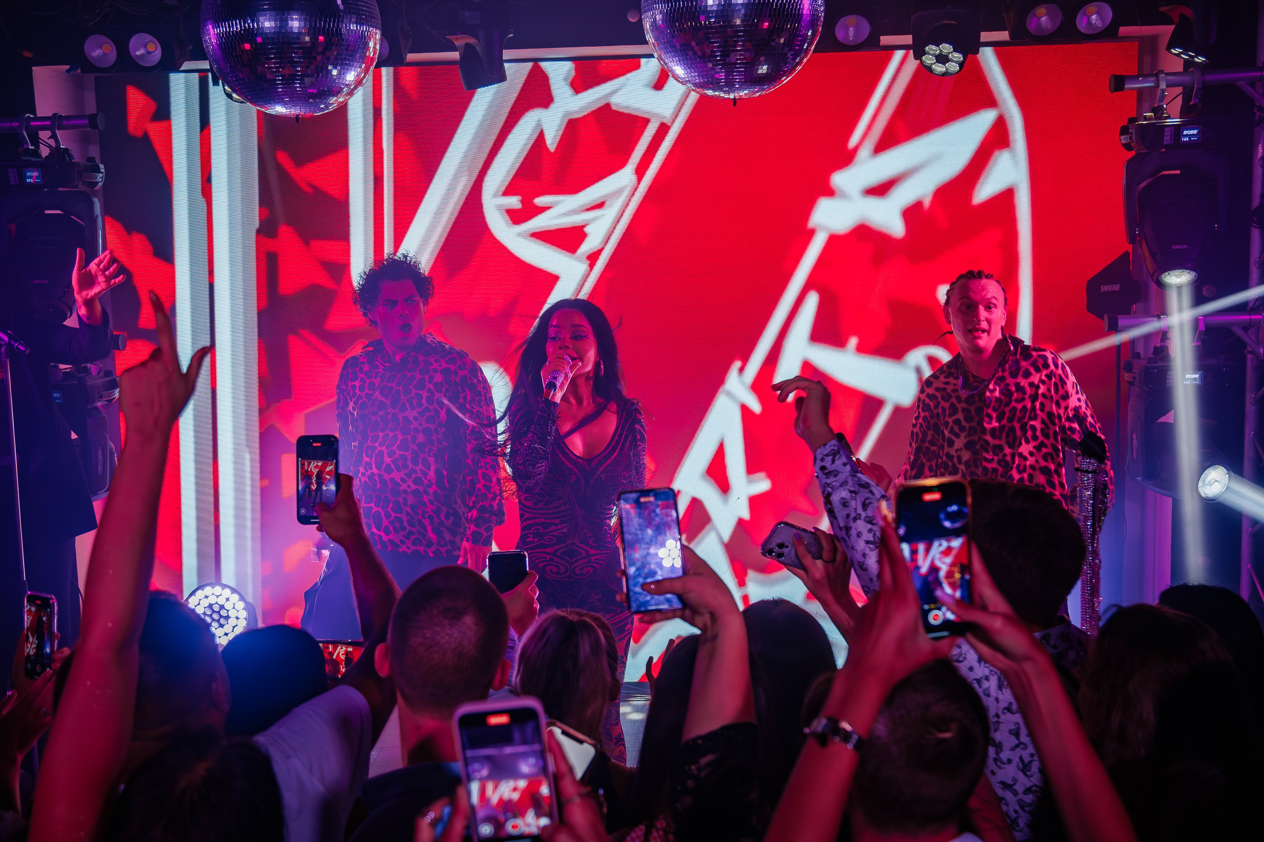 «Бьянка"_Чайка на пляже_Ялта_25.07.2025 г. Аминов Руслан | Фотограф